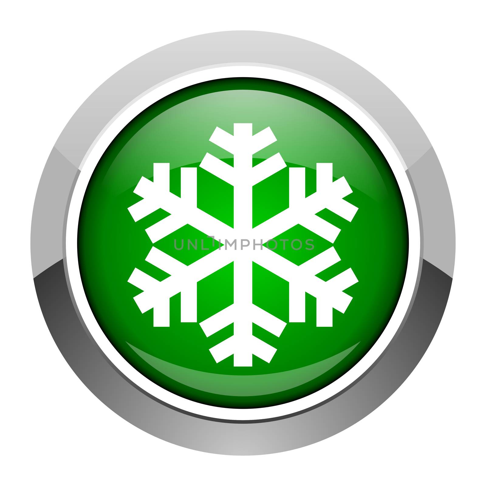 snowflake icon