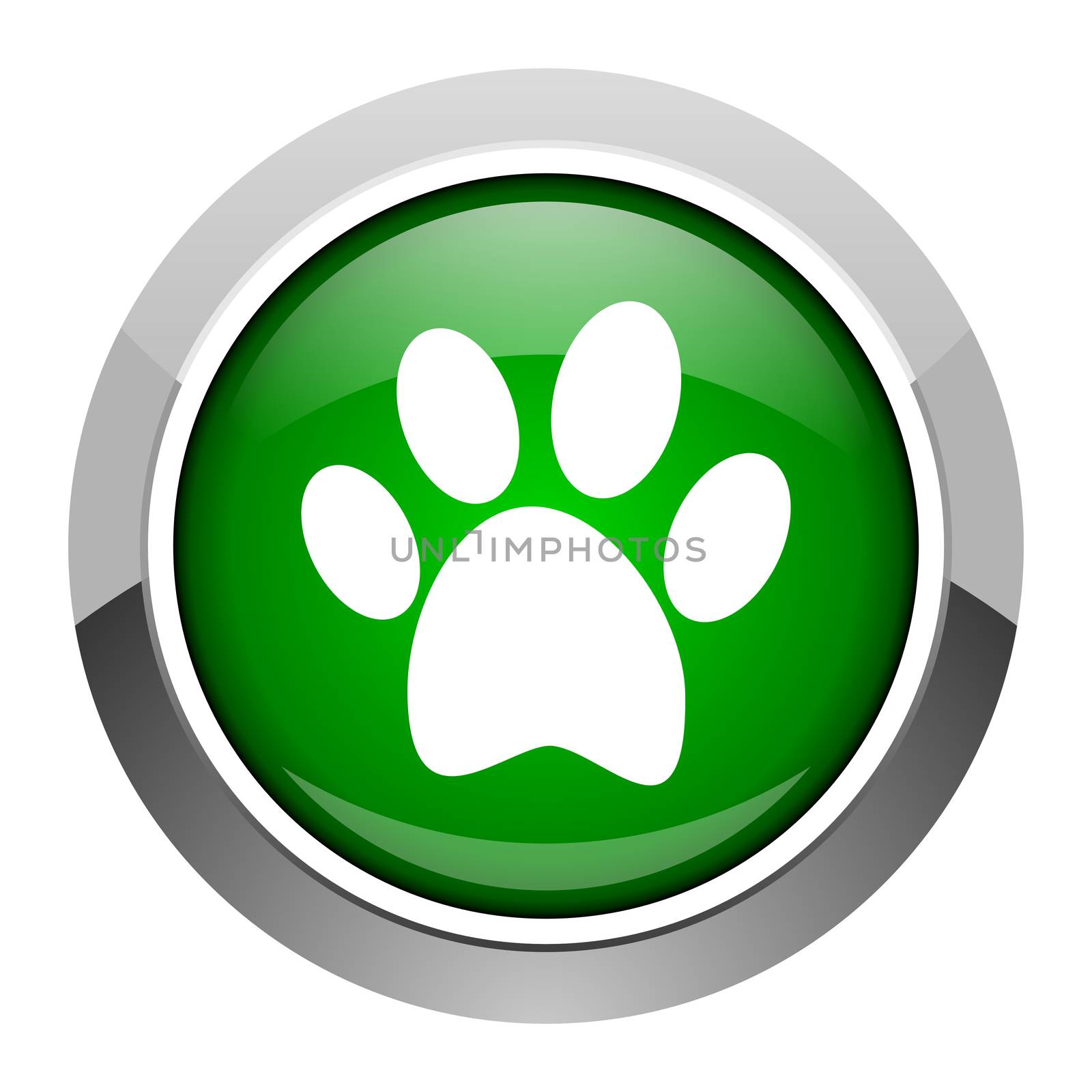 animal footprint icon by alexwhite