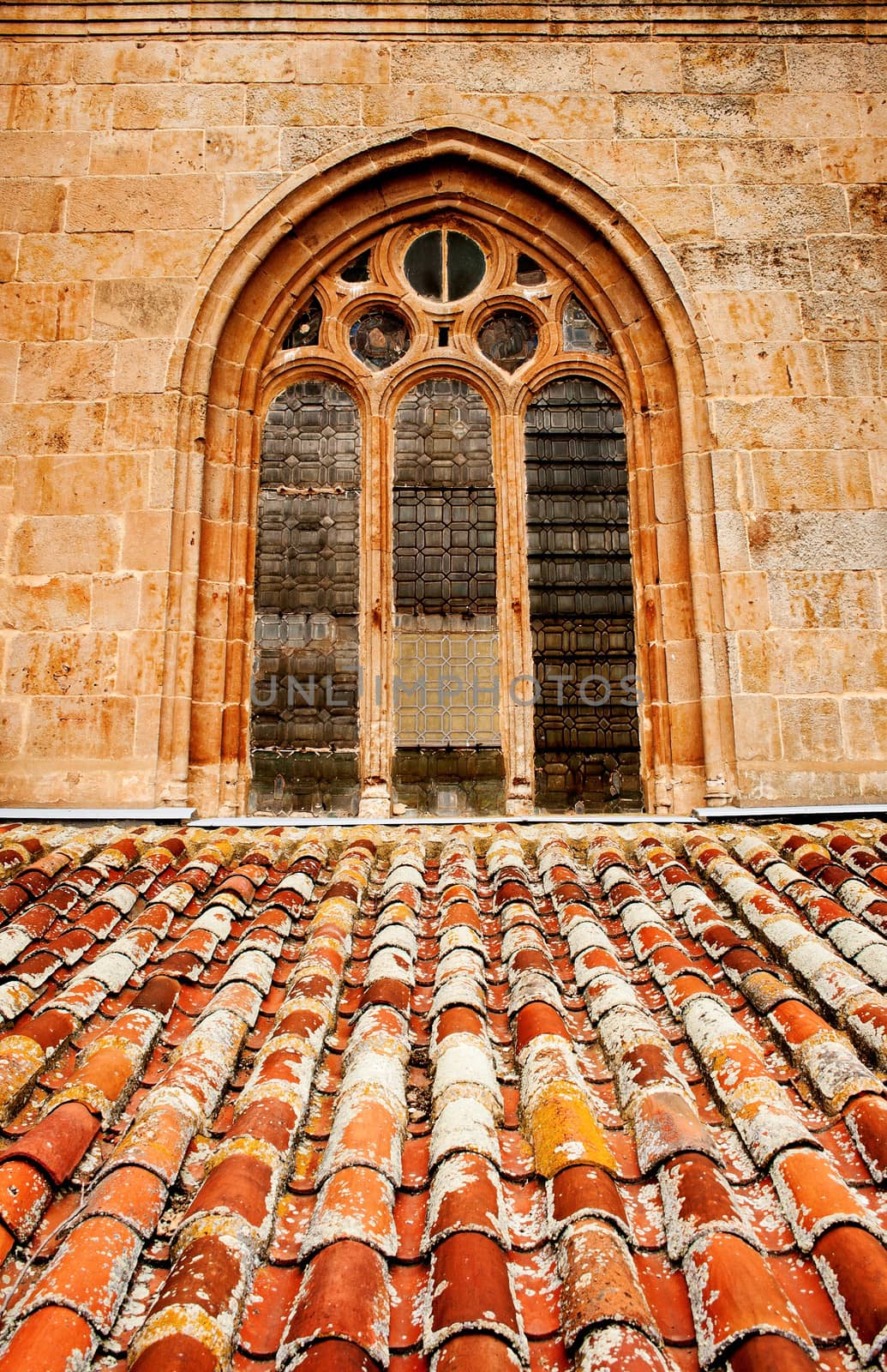 Window of Cathedral by KGM