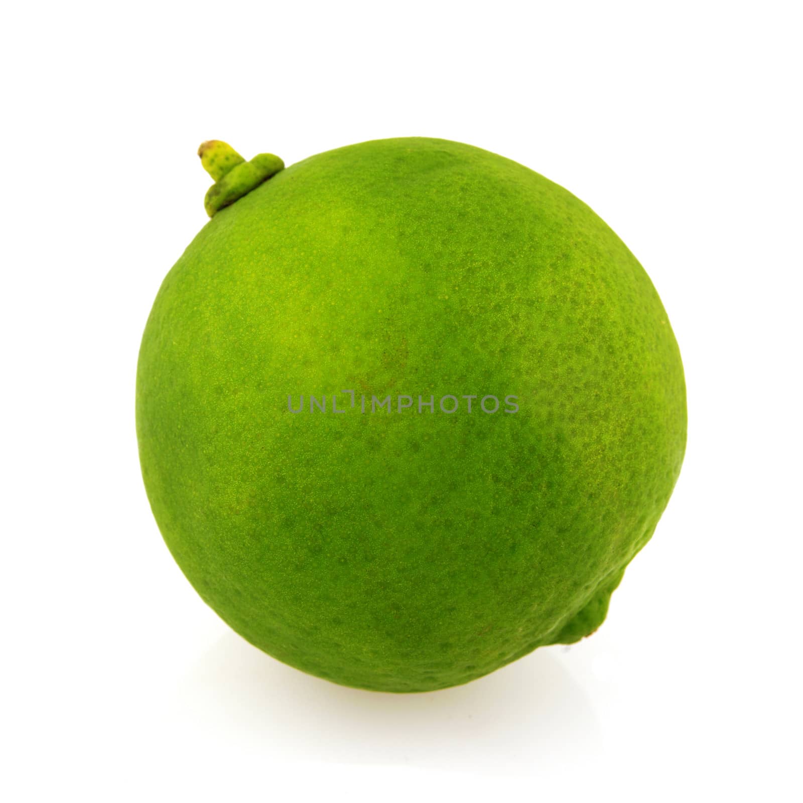 Single fresh green lime isolated on white
