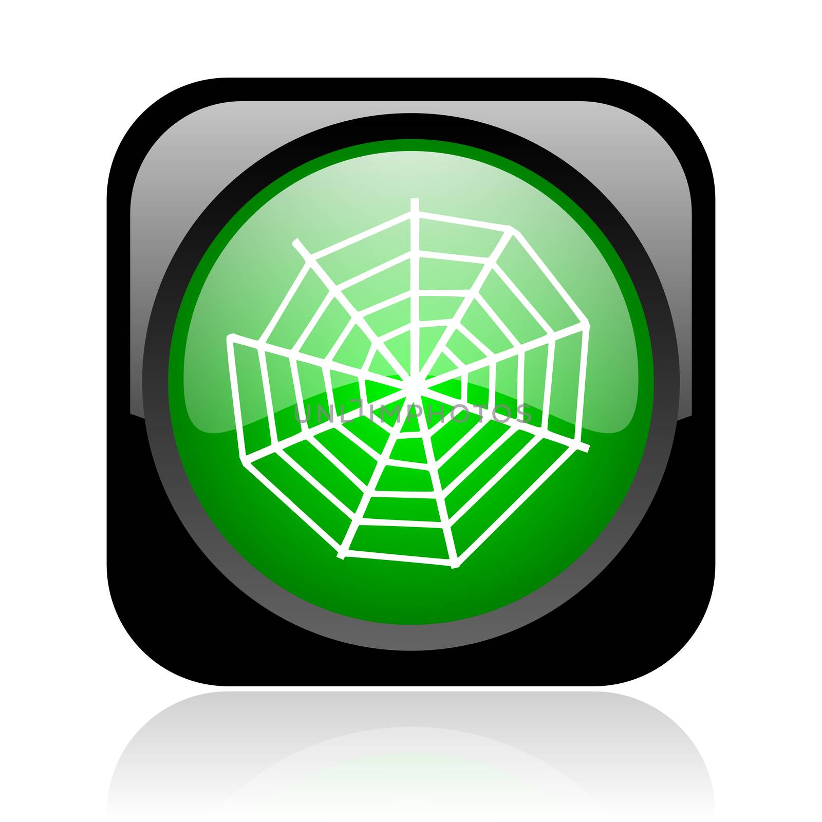 spider web black and green square web glossy icon by alexwhite
