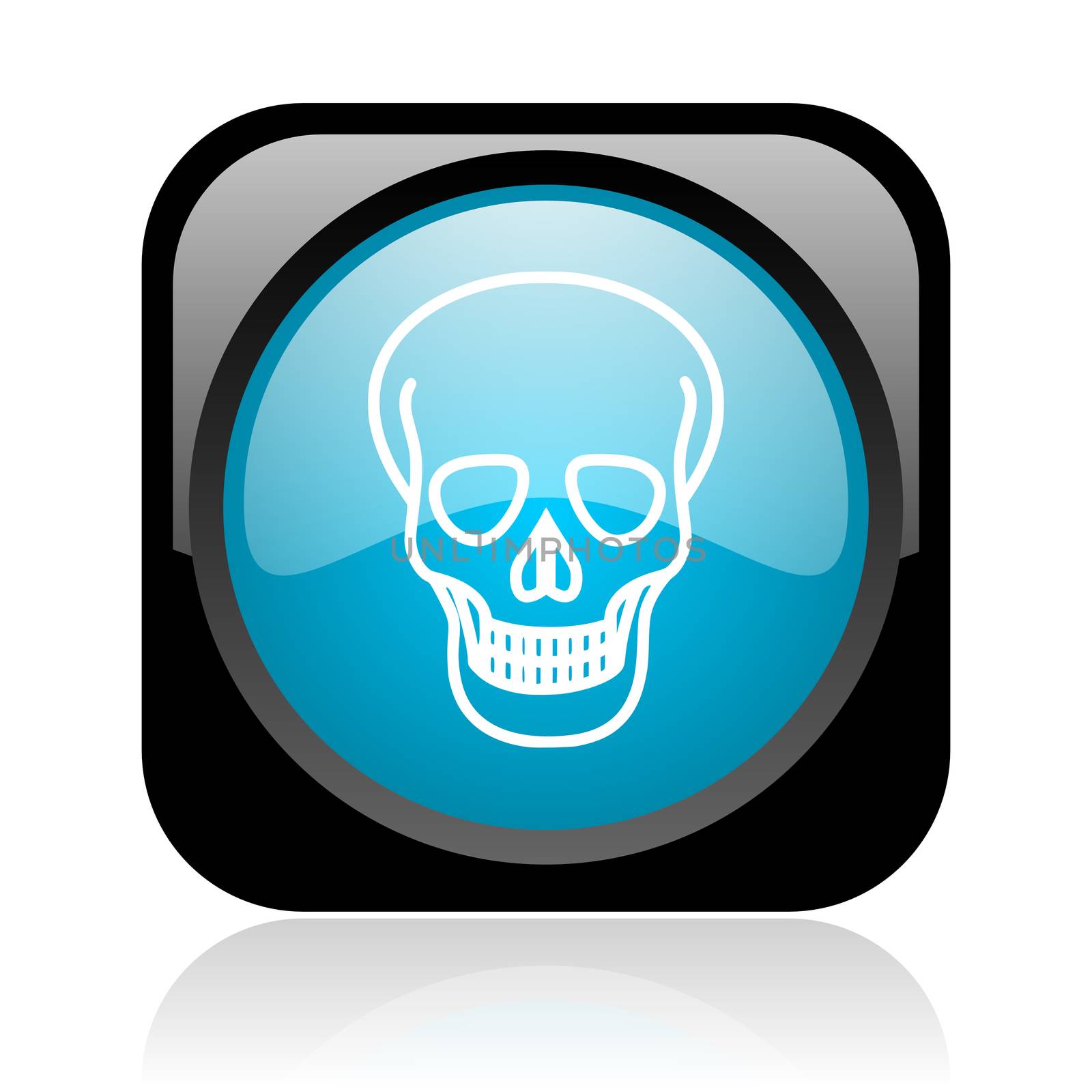 skull black and blue square web glossy icon