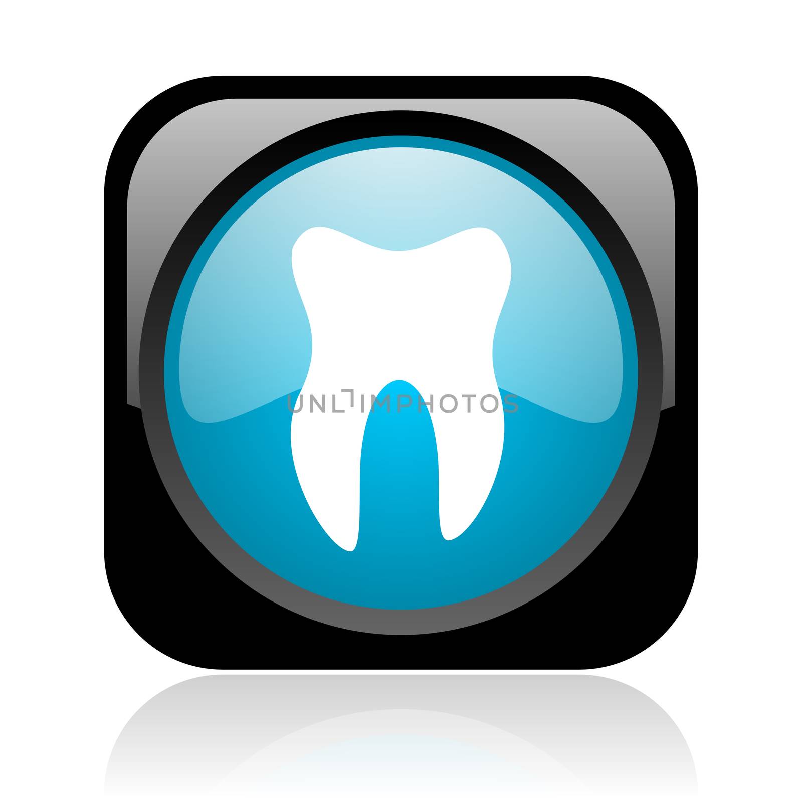 tooth black and blue square web glossy icon by alexwhite