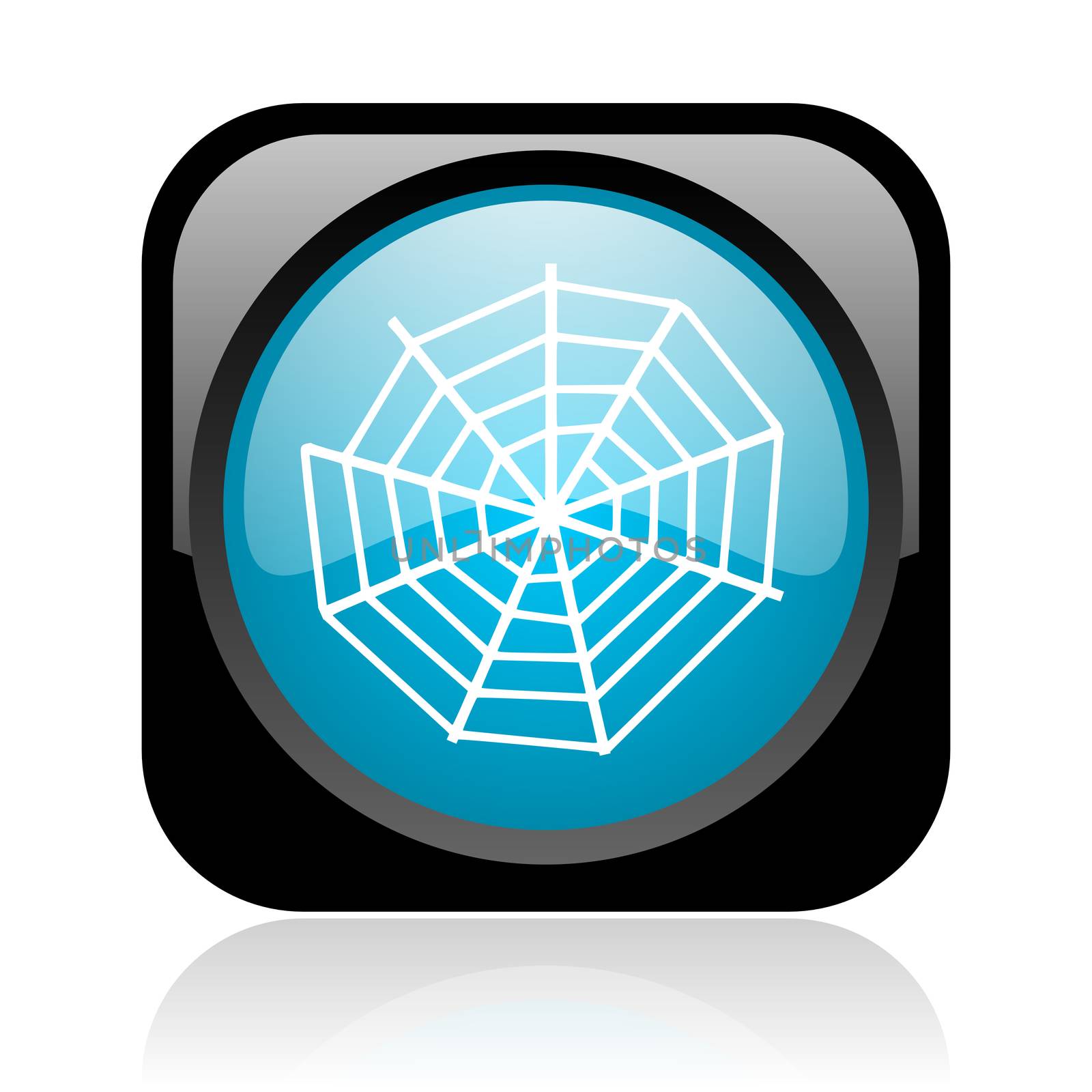 spider web black and blue square web glossy icon