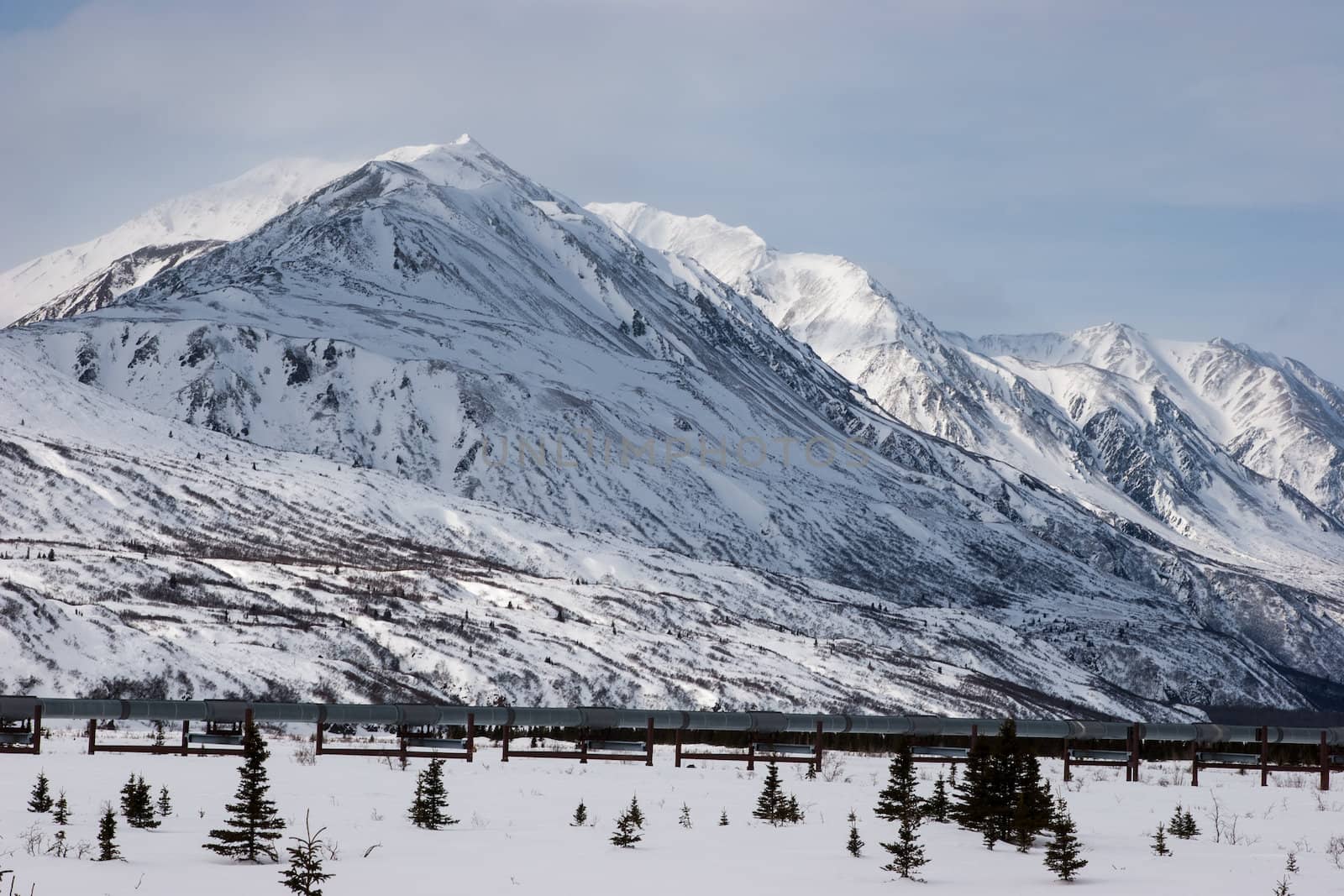The Trans-Alaska Pipeline System in Interior, Alaska