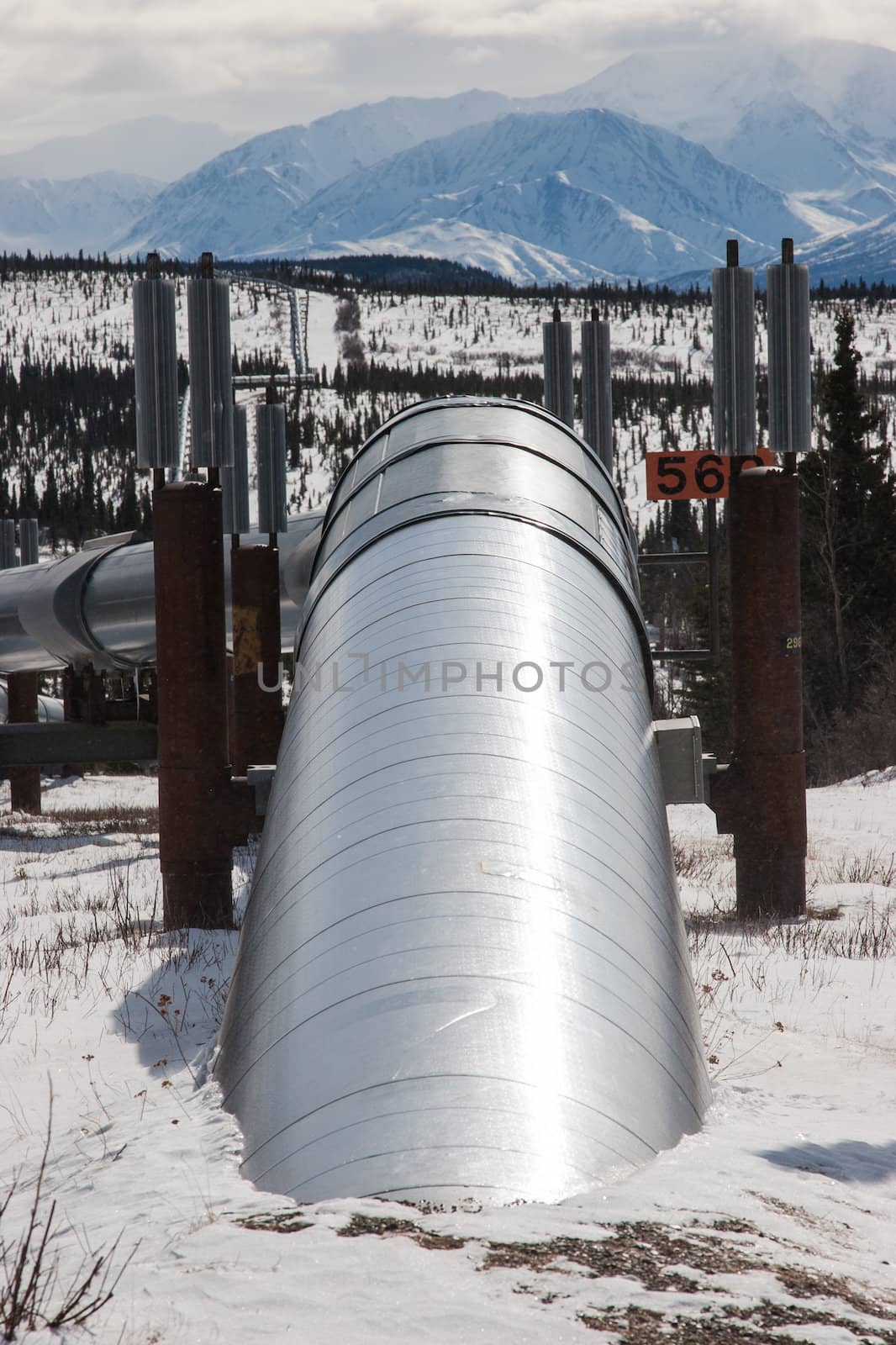 Oil Pipeline in Wilderness by studio49