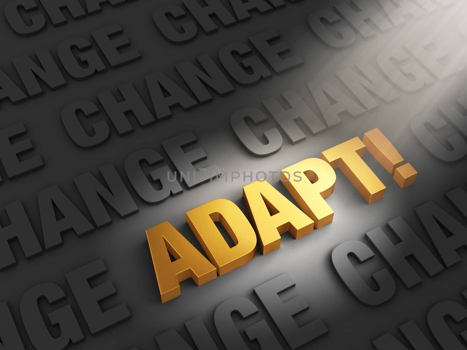 Adapt to Confront Change by Em3