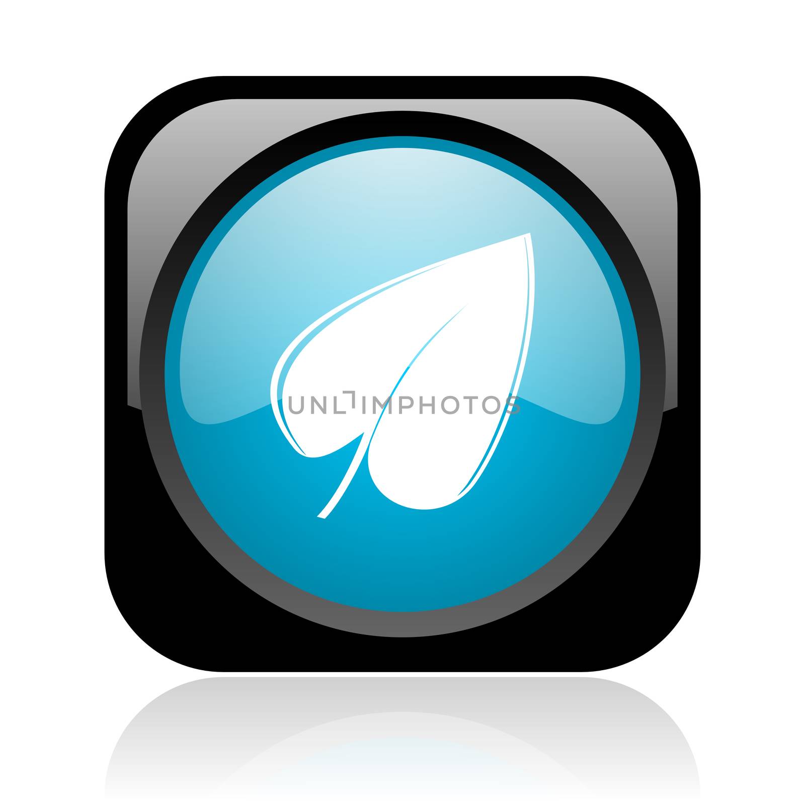 leaf black and blue square web glossy icon