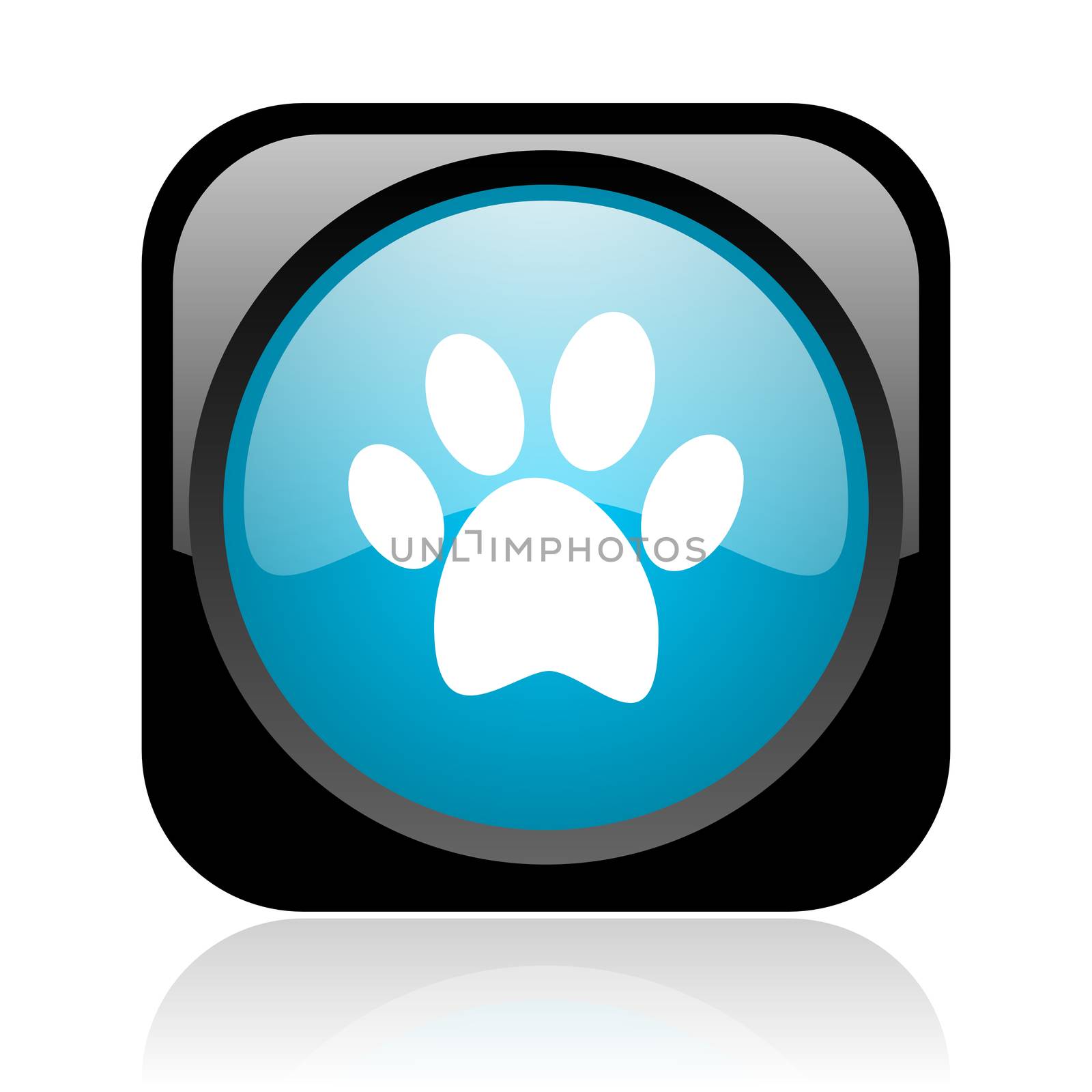 animal footprint black and blue square web glossy icon by alexwhite