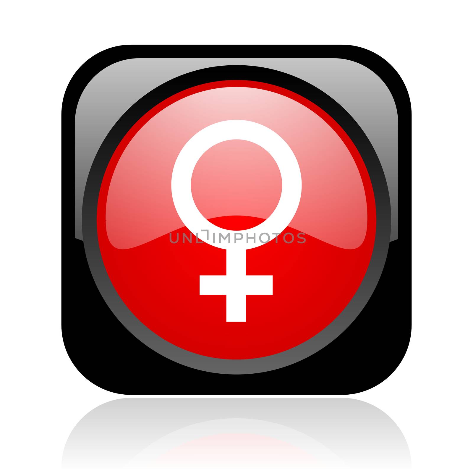 sex black and red square web glossy icon