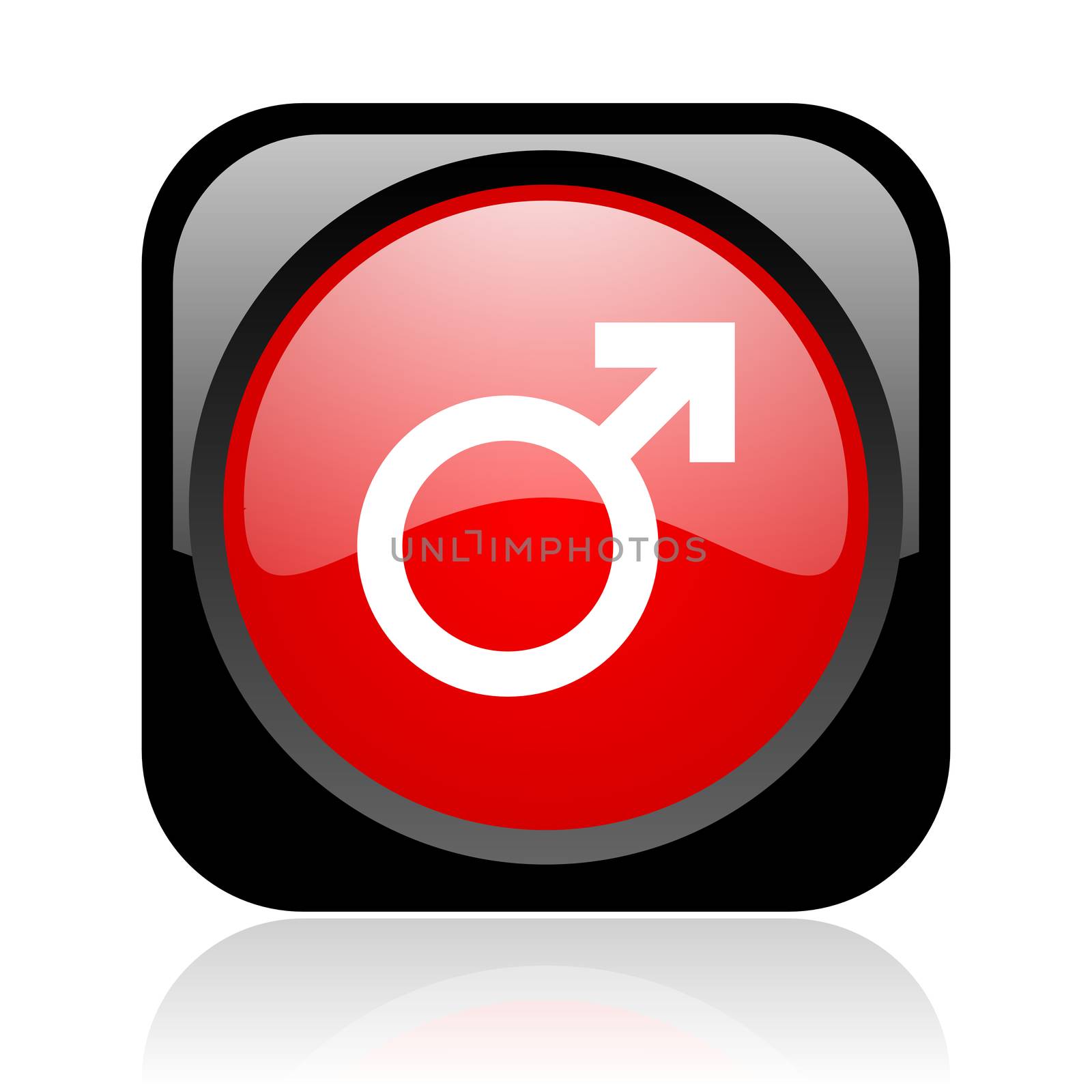 sex black and red square web glossy icon