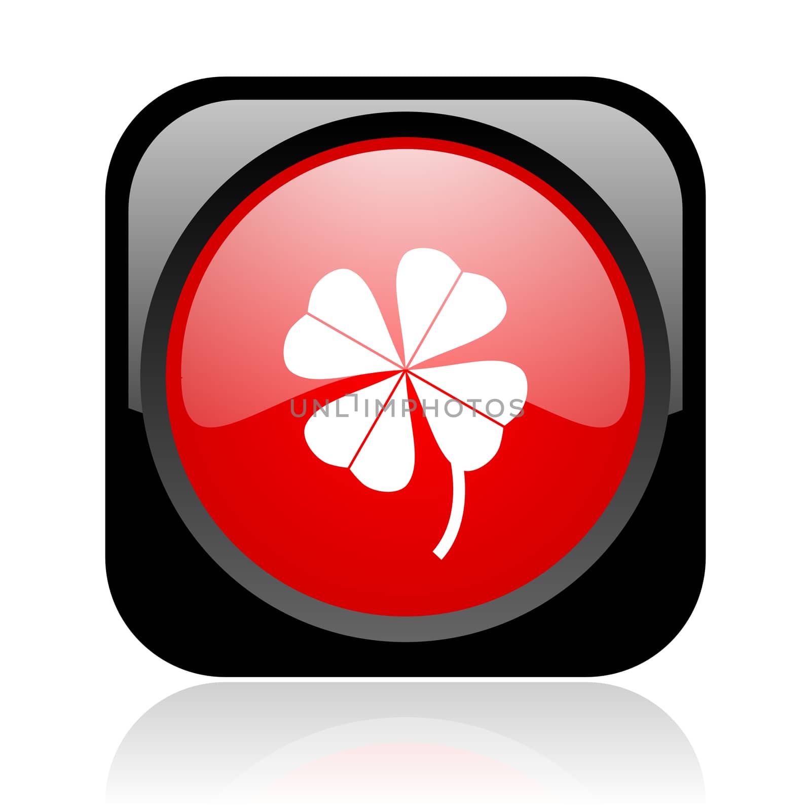 four-leaf clover black and red square web glossy icon