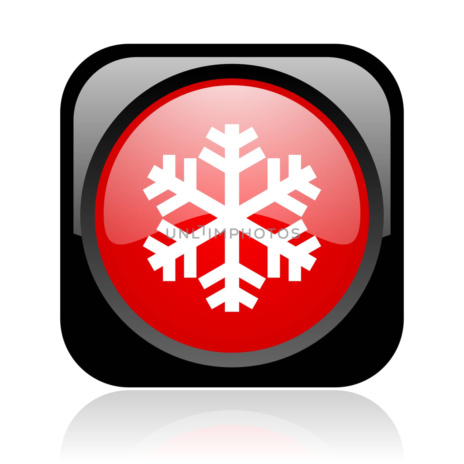snowflake black and red square web glossy icon