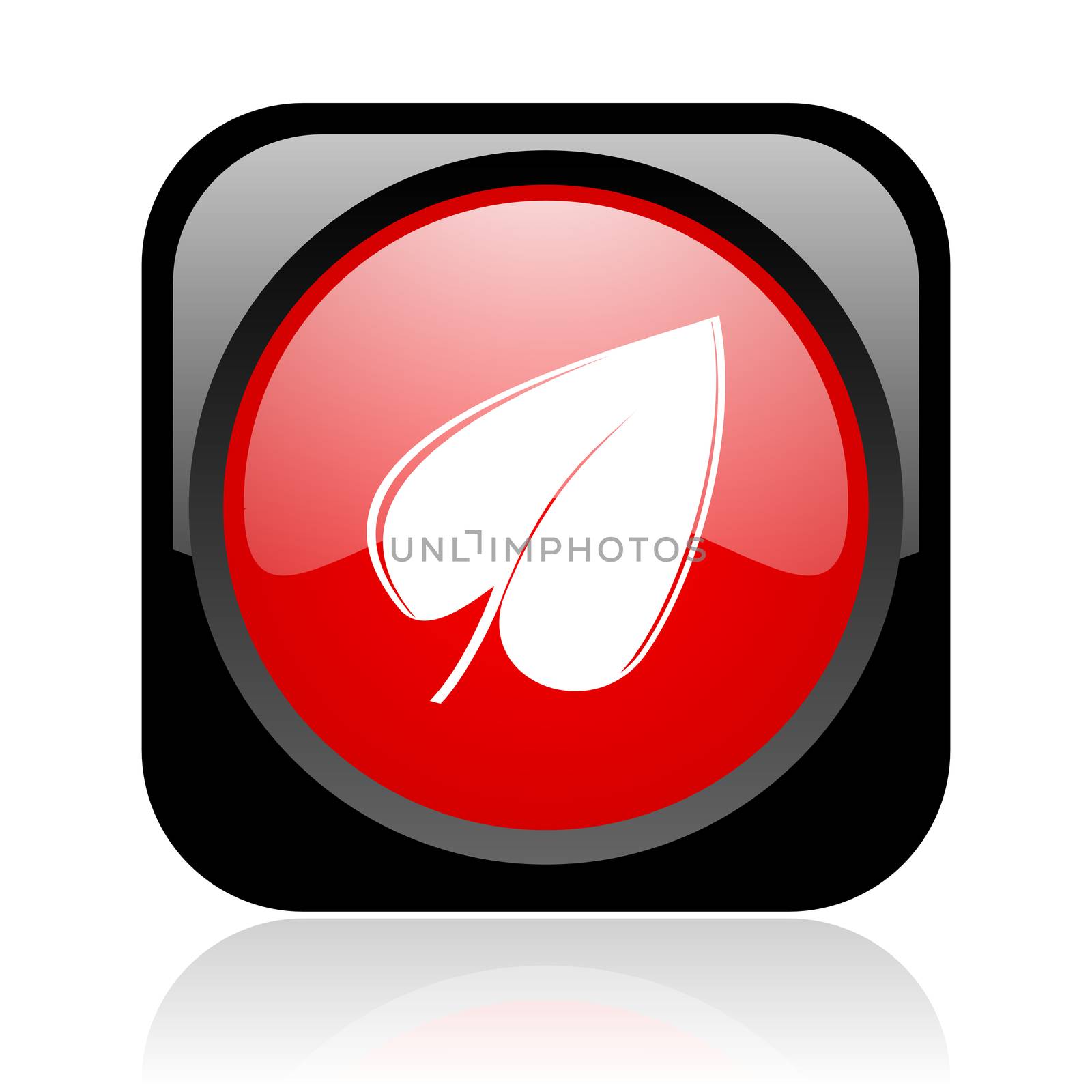 leaf black and red square web glossy icon