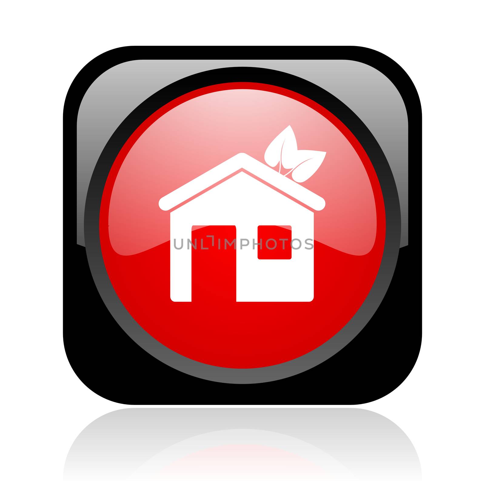 home black and red square web glossy icon