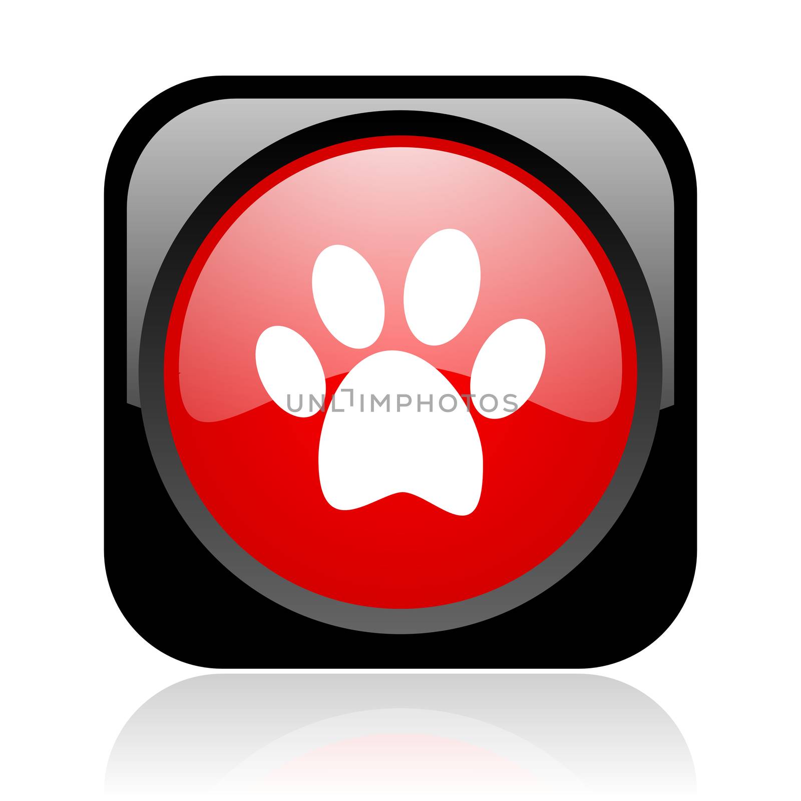 animal footprint black and red square web glossy icon