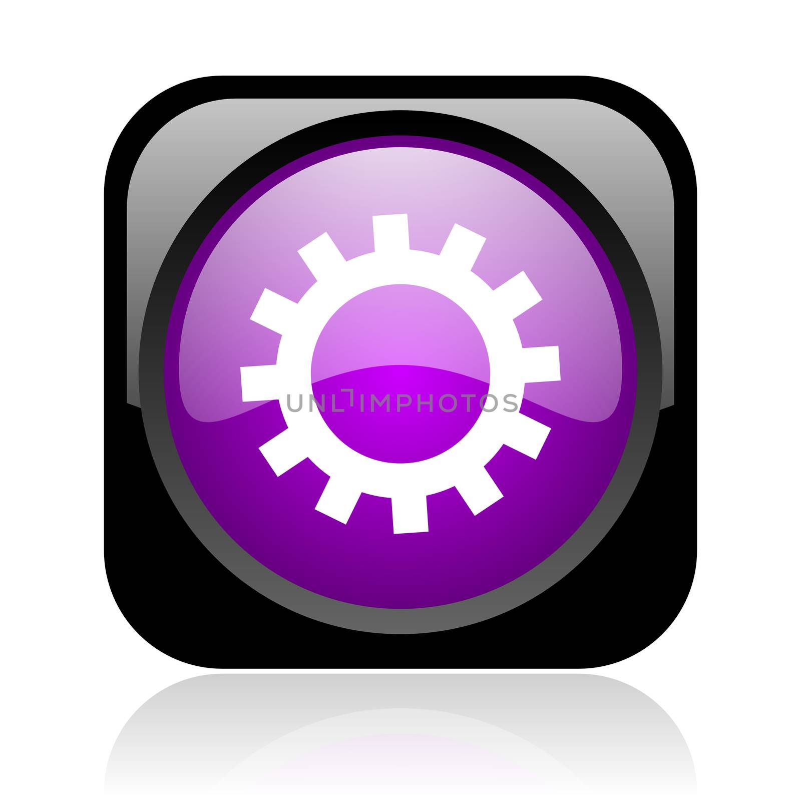 gears black and violet square web glossy icon