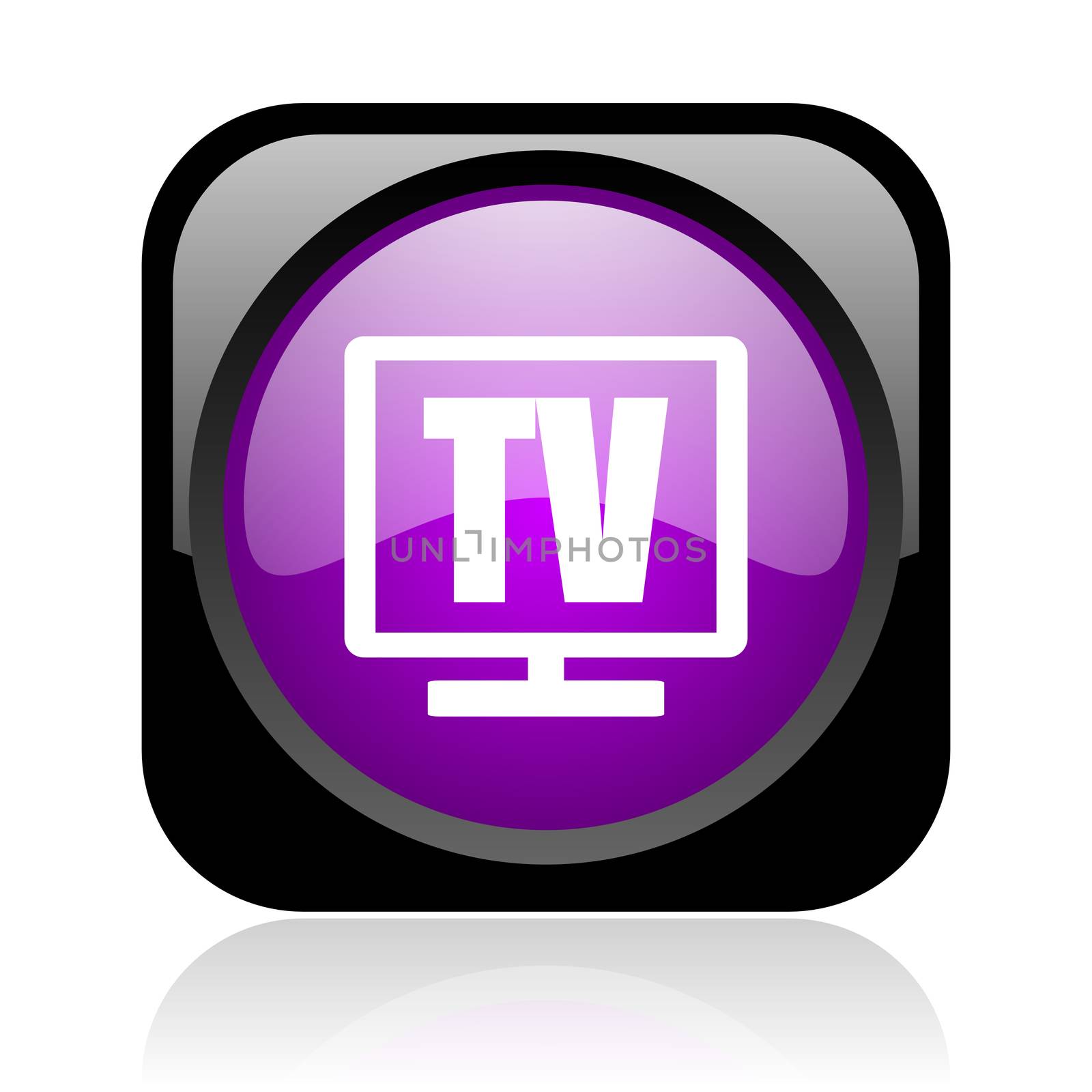 tv black and violet square web glossy icon