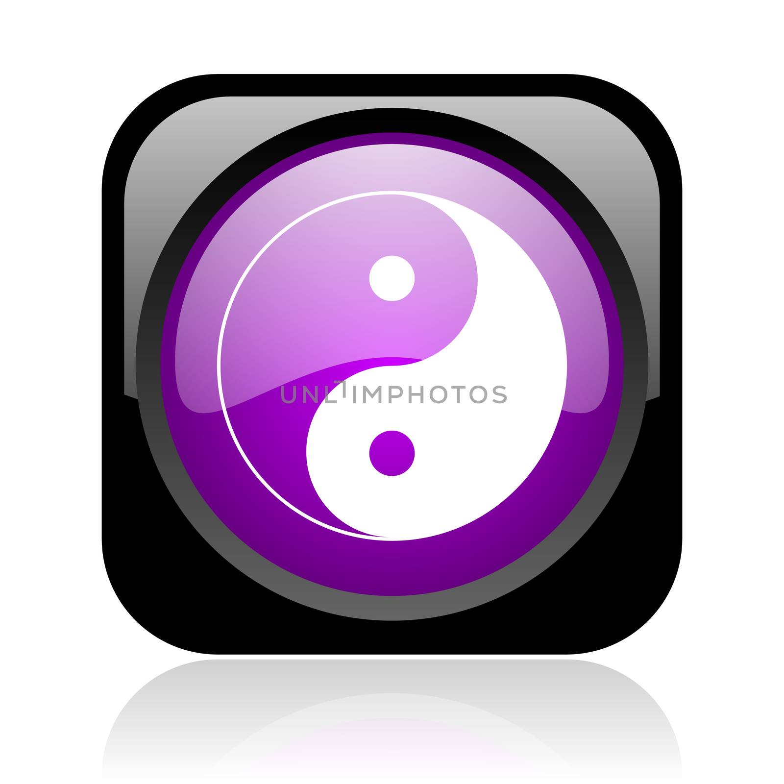 ying yang black and violet square web glossy icon