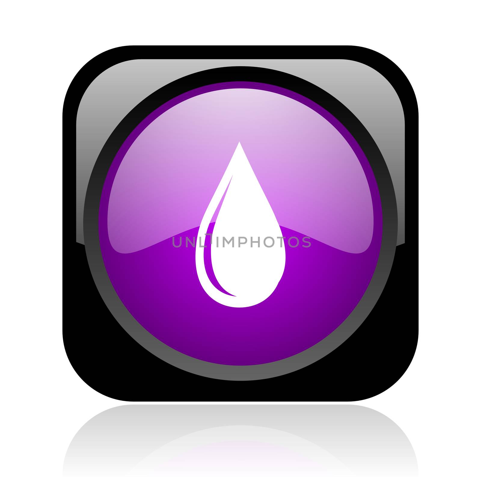 water drop black and violet square web glossy icon