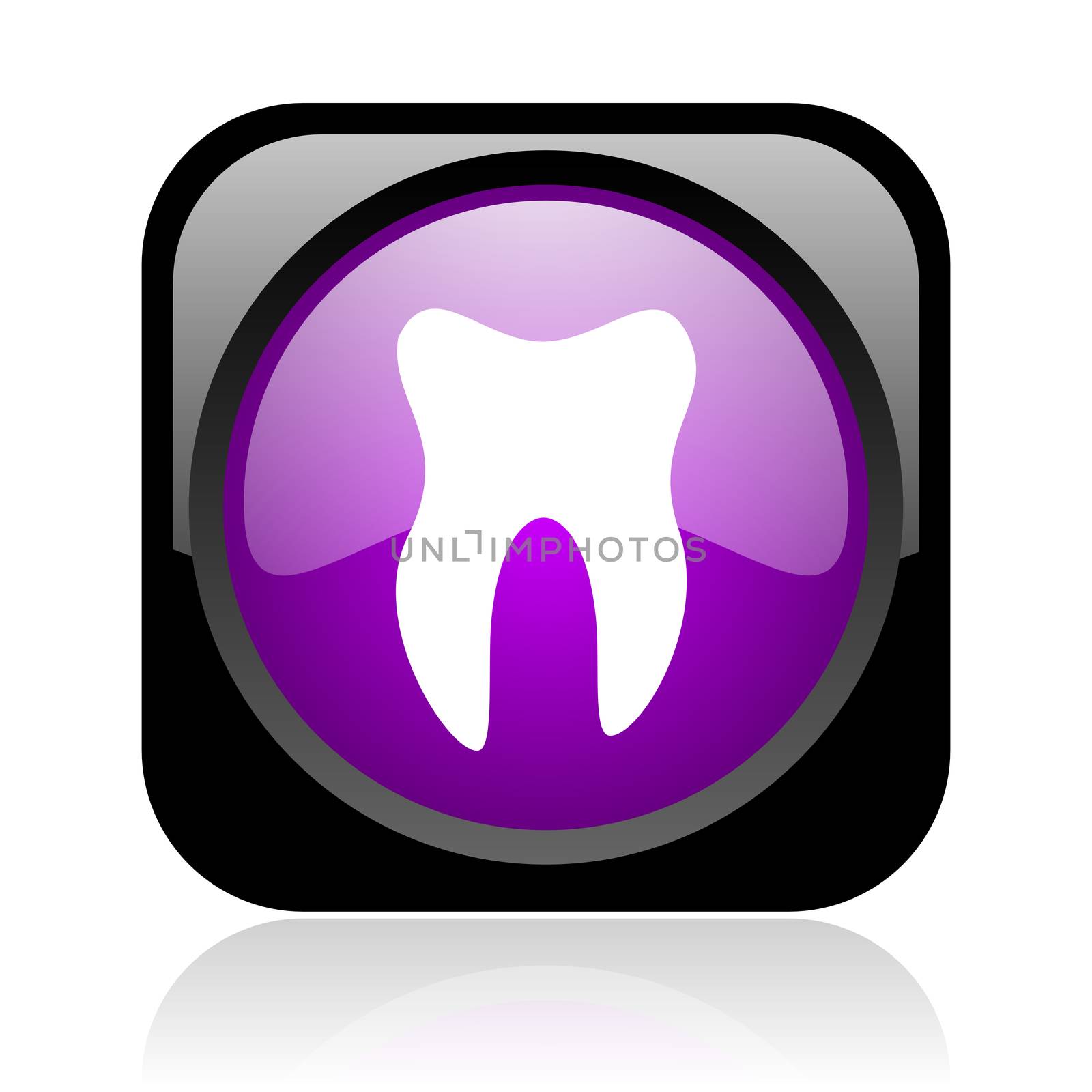 tooth black and violet square web glossy icon