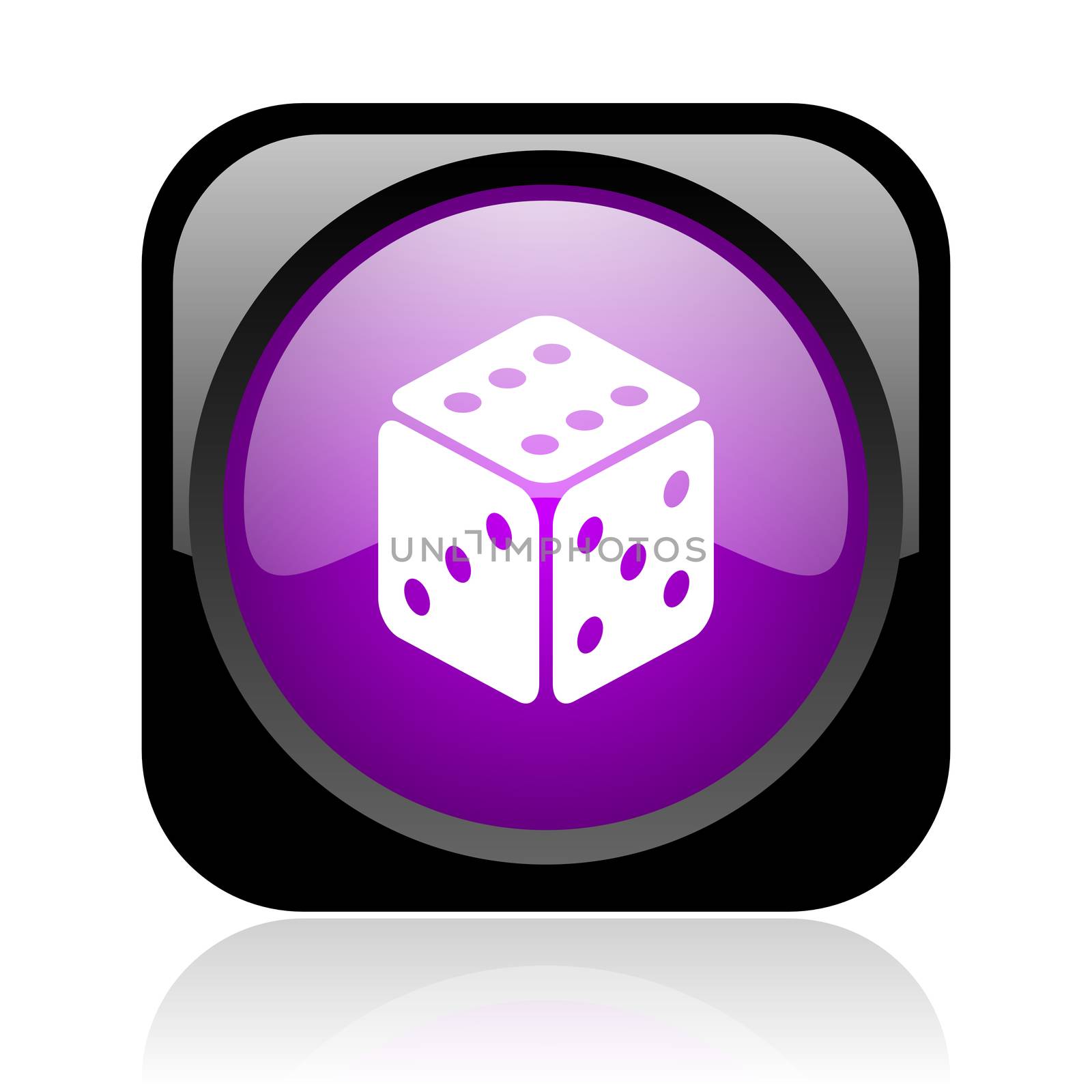 dice black and violet square web glossy icon