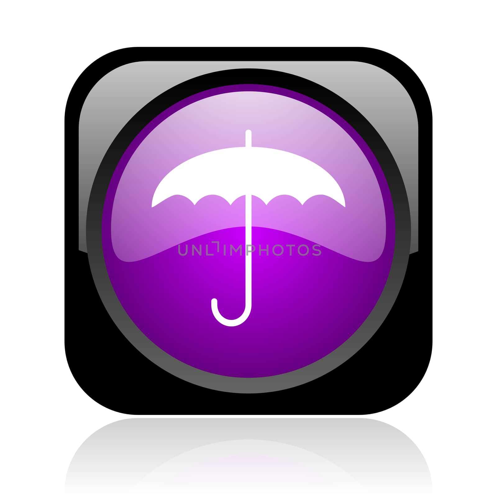 umbrella black and violet square web glossy icon