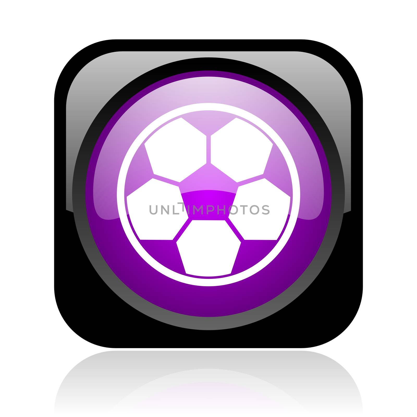 soccer black and violet square web glossy icon