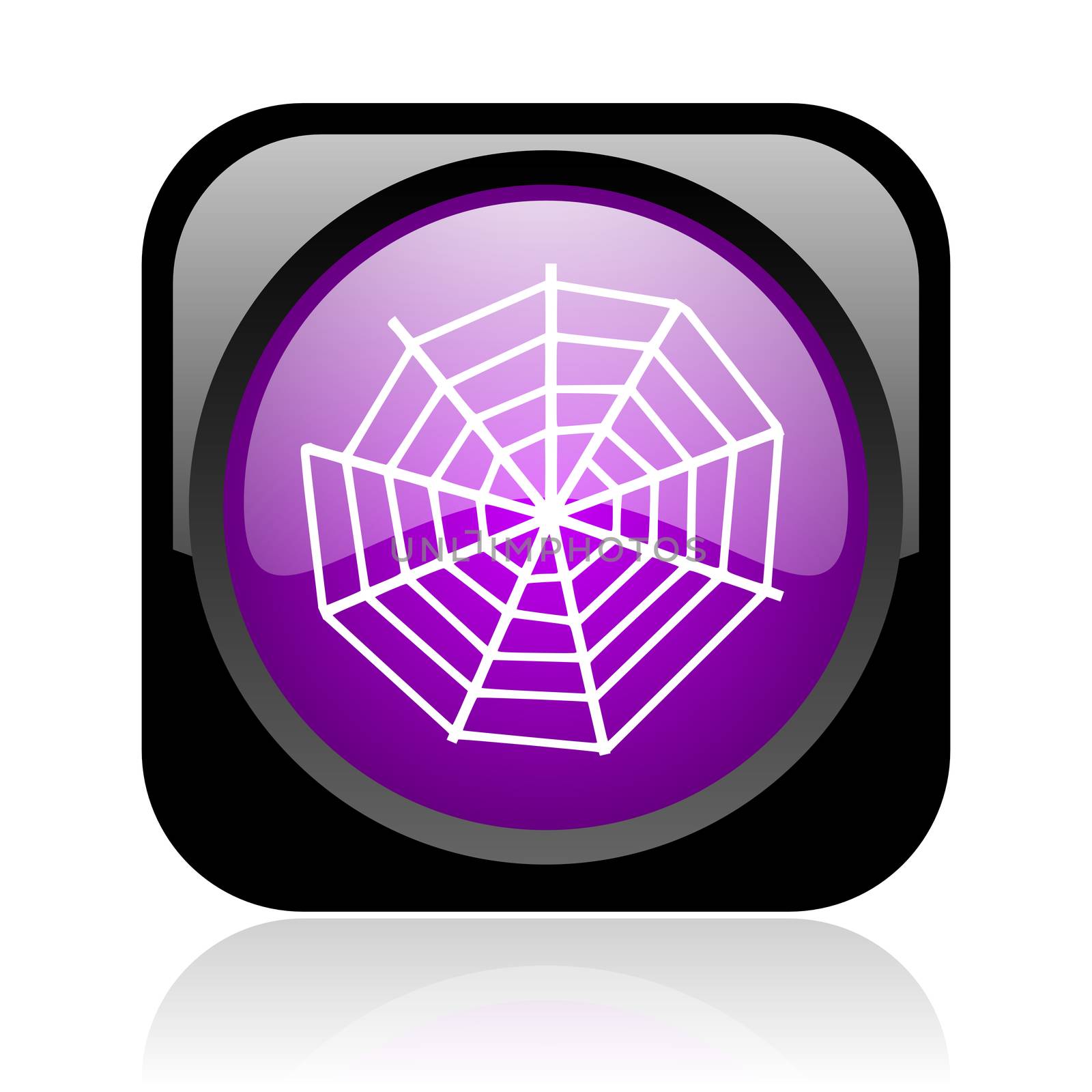 spider web black and violet square web glossy icon