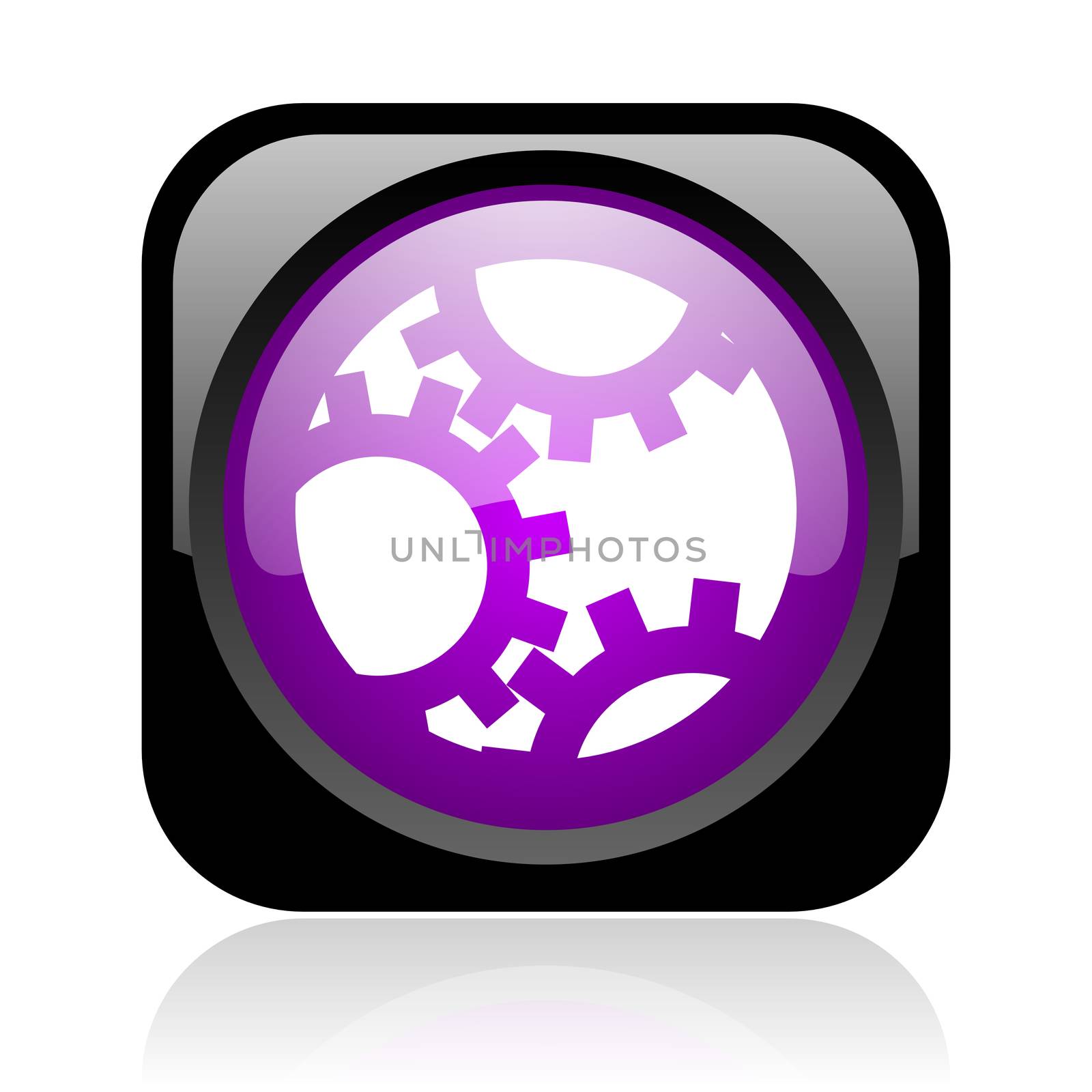 gears black and violet square web glossy icon