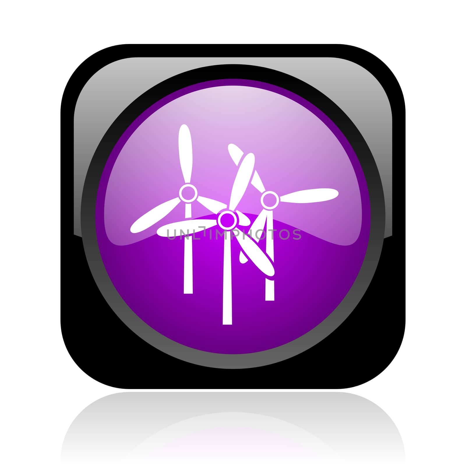 windmill black and violet square web glossy icon