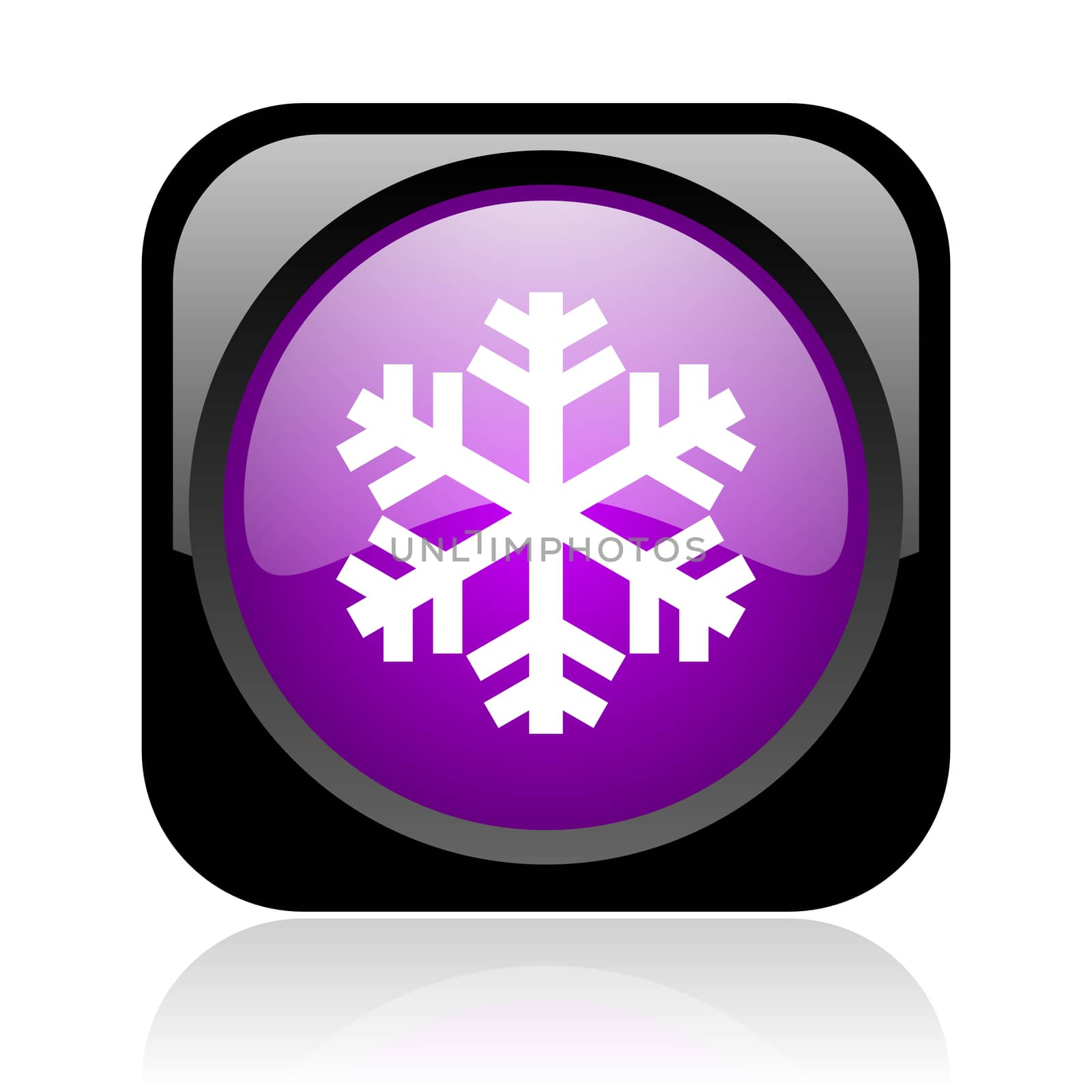 snowflake black and violet square web glossy icon