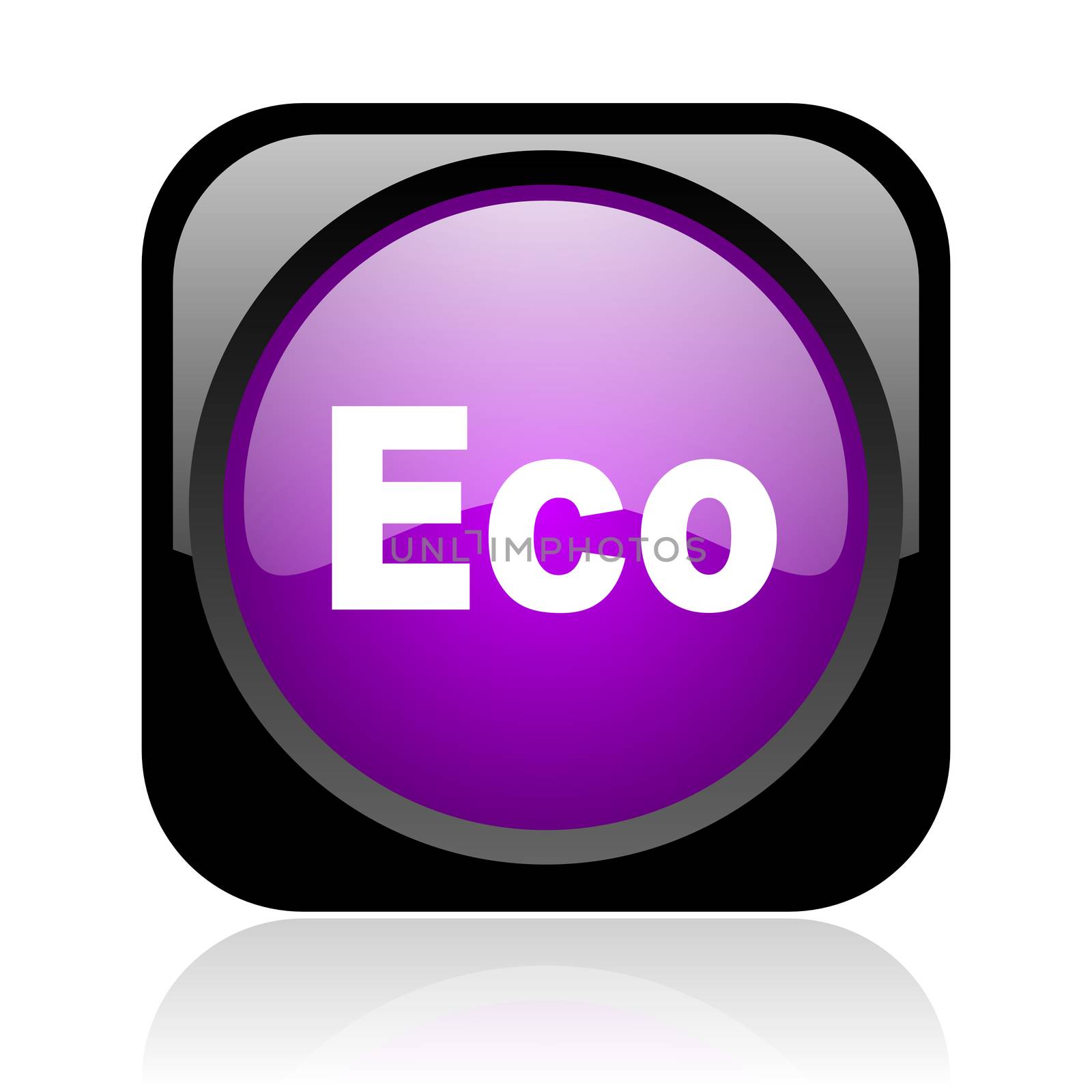 eco black and violet square web glossy icon