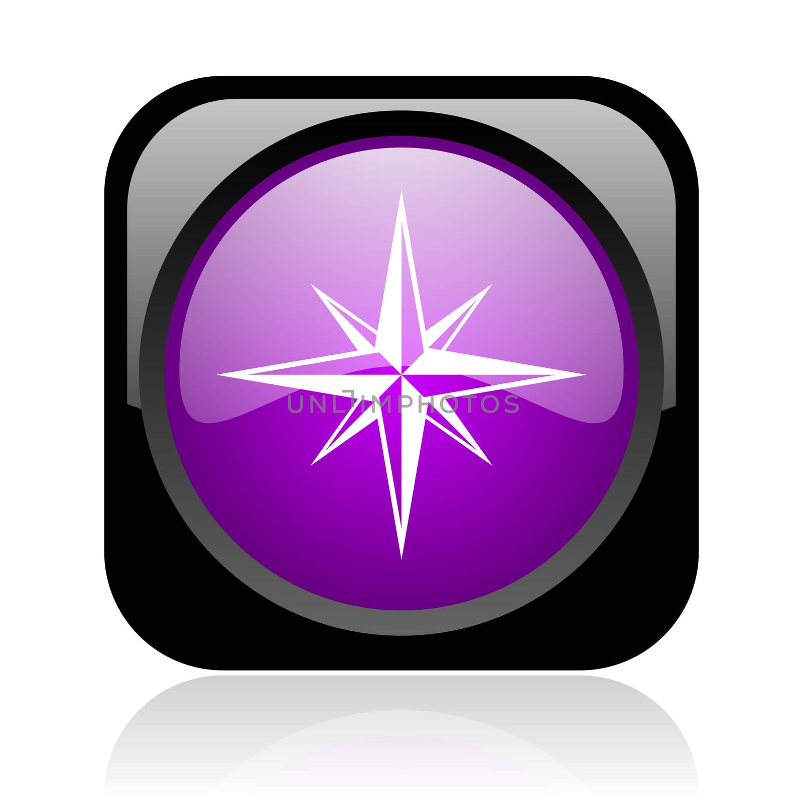compass black and violet square web glossy icon
