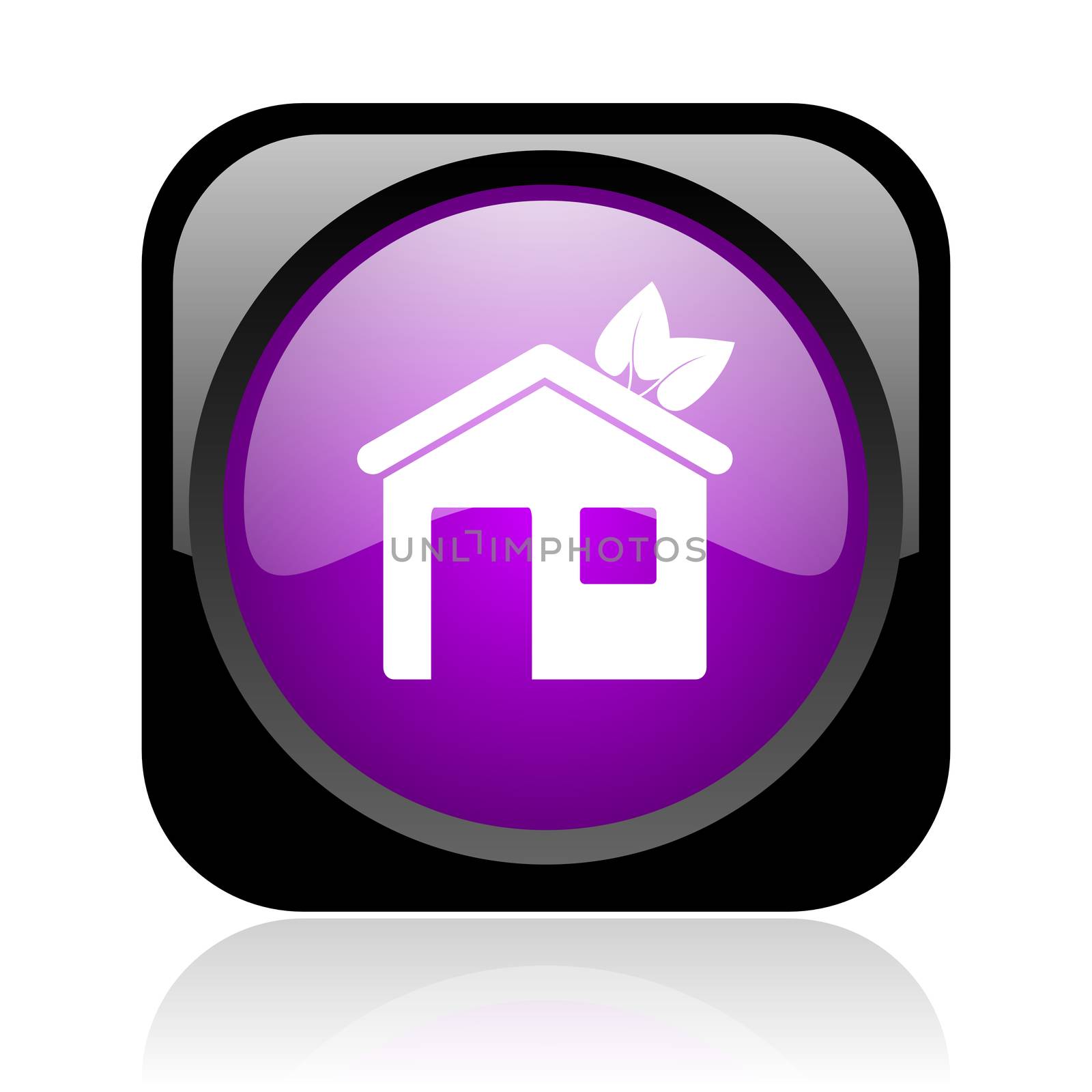 home black and violet square web glossy icon