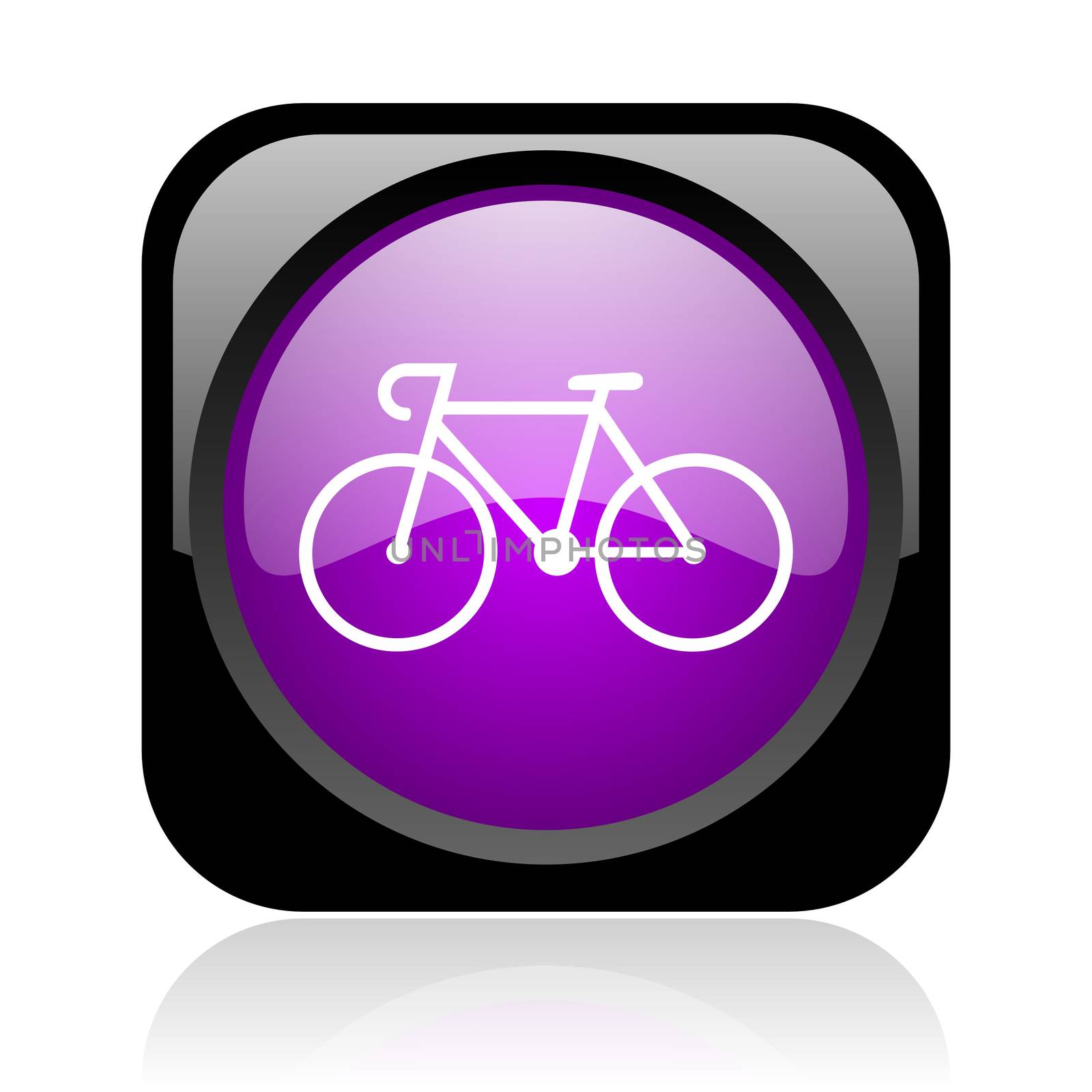 bicycle black and violet square web glossy icon