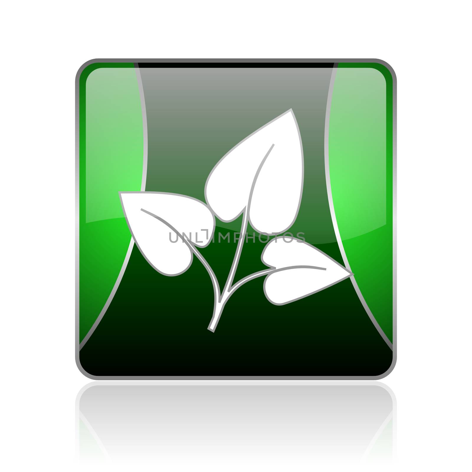 black and green square glossy internet icon on white background with reflaction
