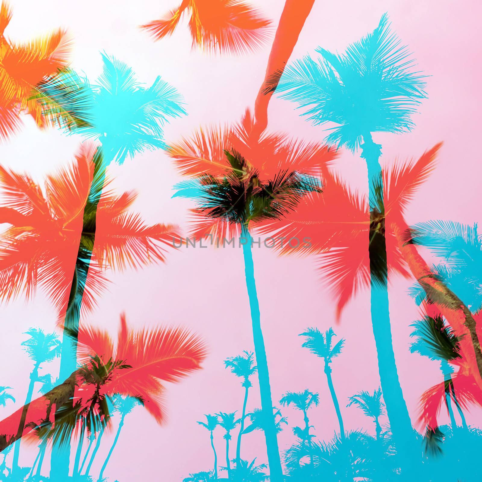 Exotic Palm Trees Montage by graficallyminded