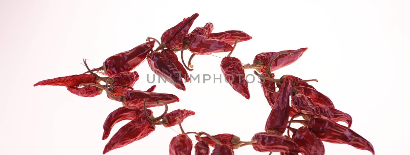 red pepper on white background by NagyDodo