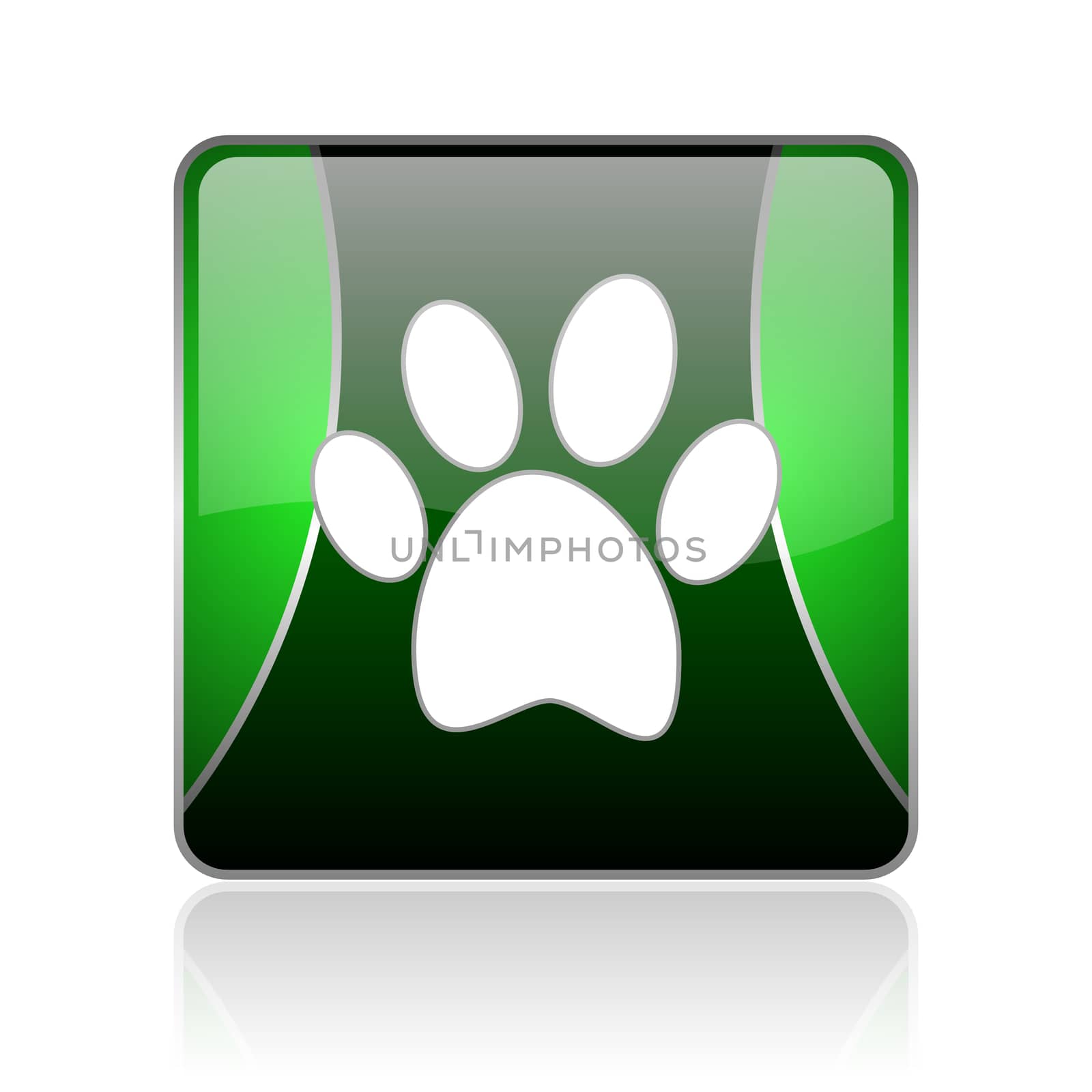 animal footprint black and green square web glossy icon by alexwhite