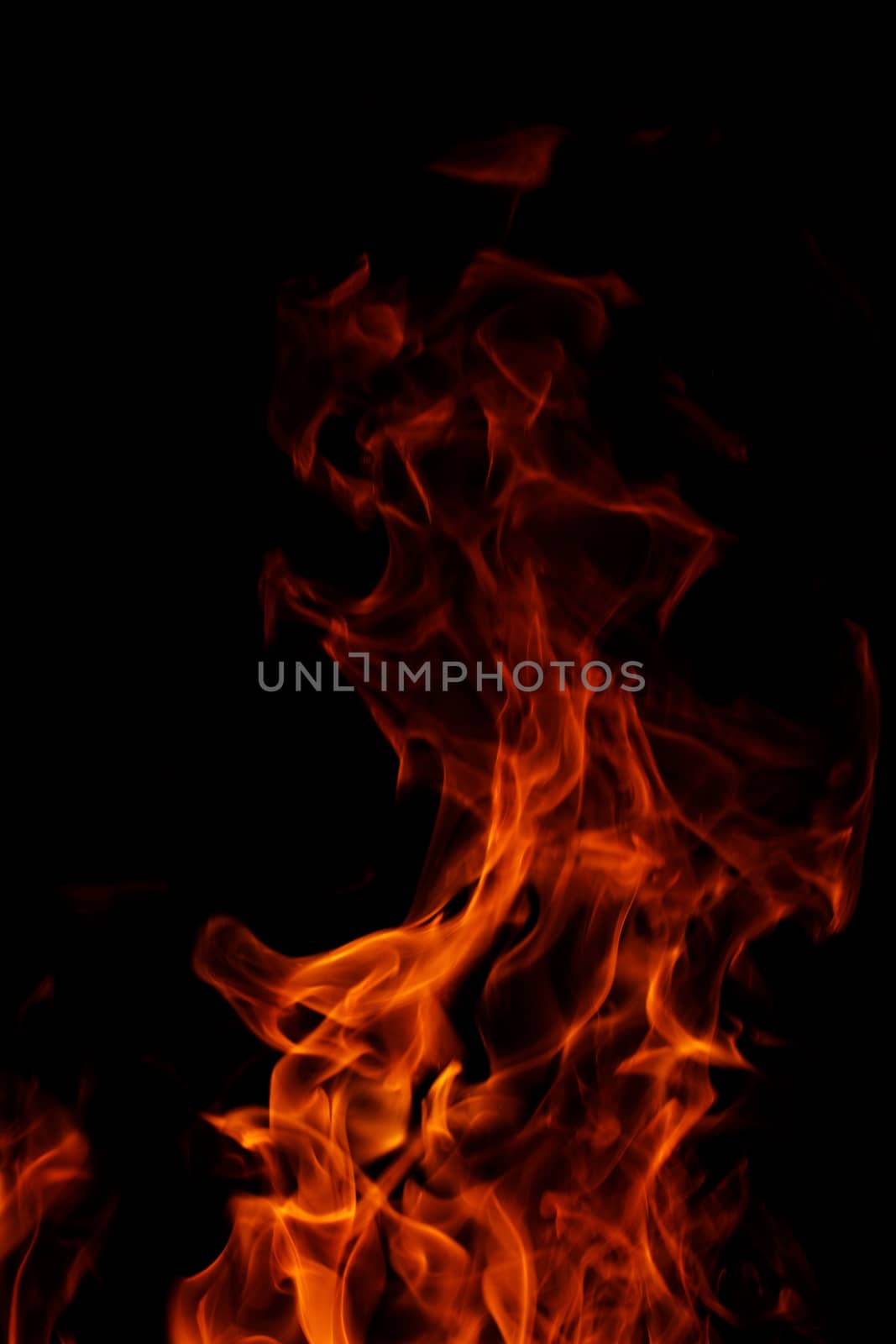 fire on black background by NagyDodo