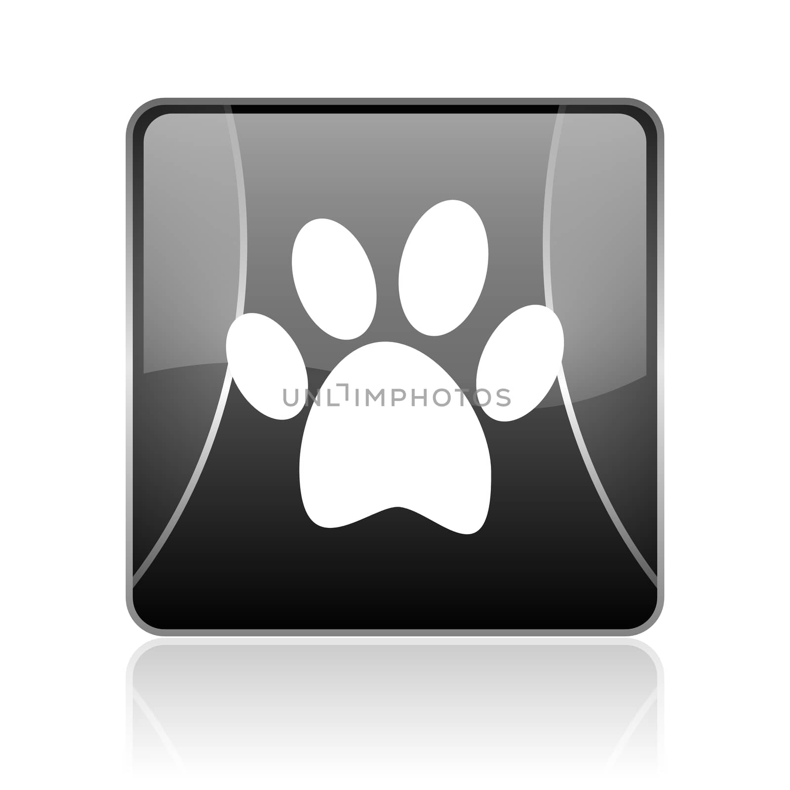 animal footprint black square web glossy icon by alexwhite