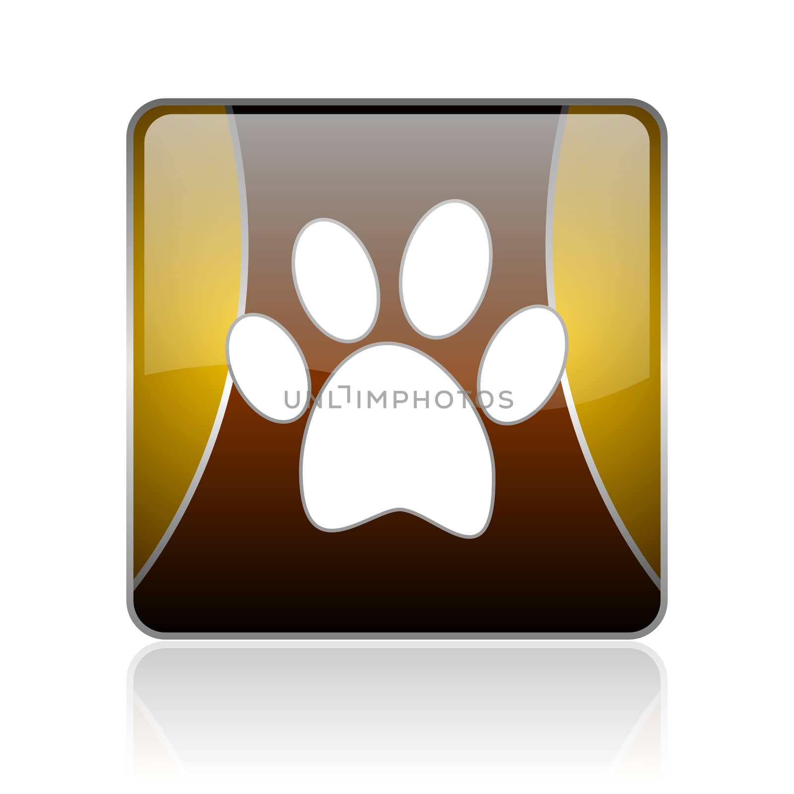 golden square glossy web icon on white background with refection