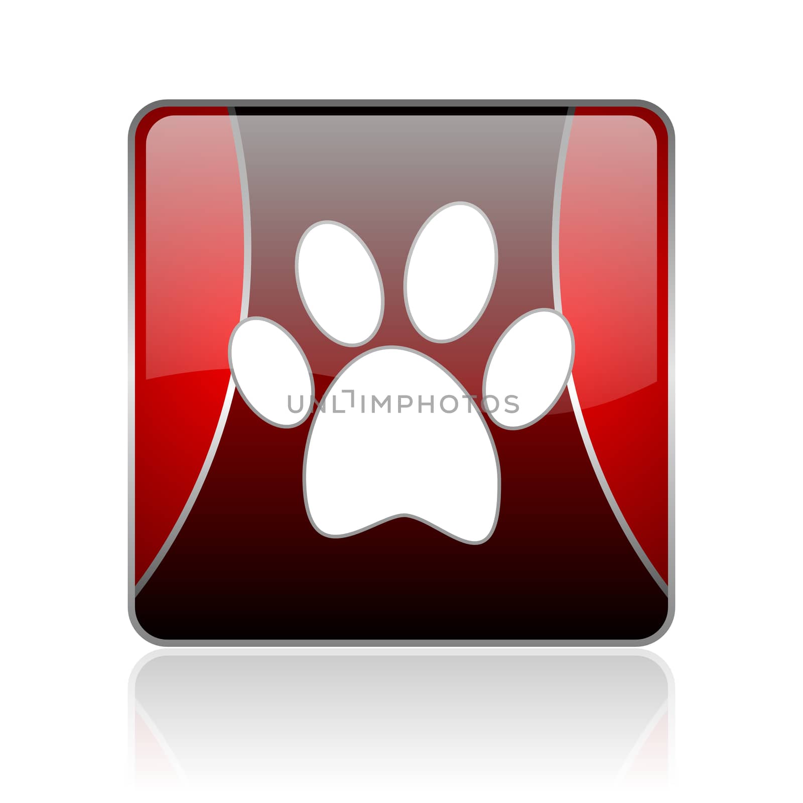 animal footprint red square web glossy icon by alexwhite