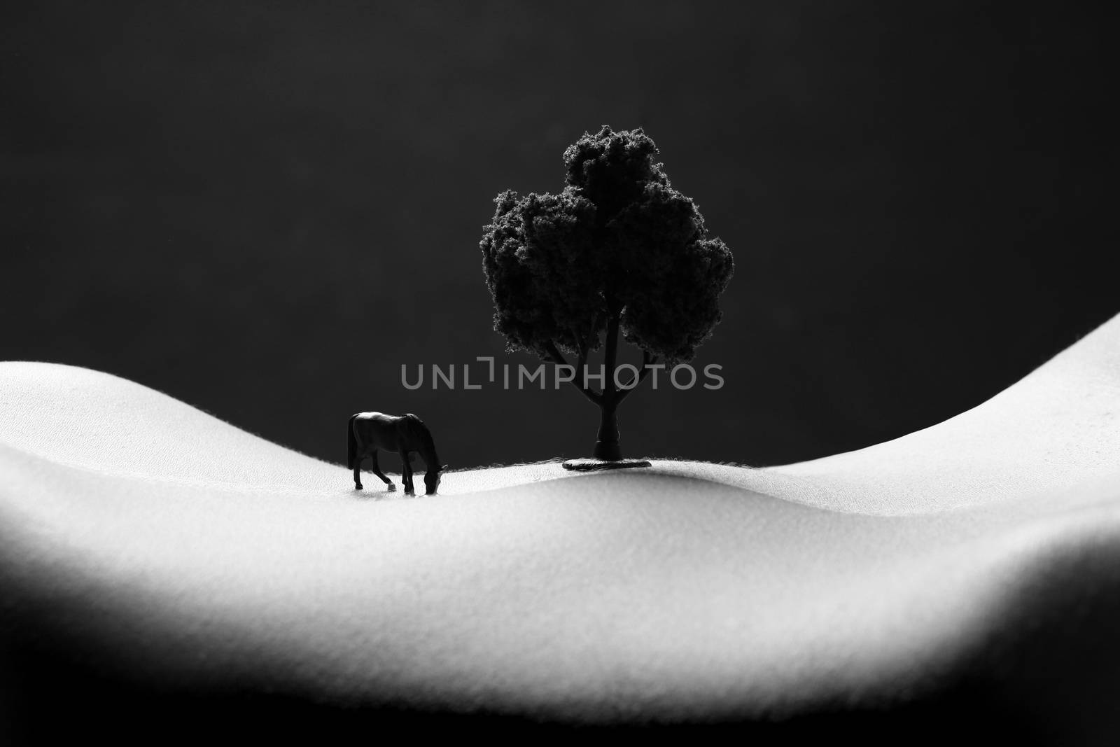 Image of a Woman's Stomach Transofrmed Into Landscape Art