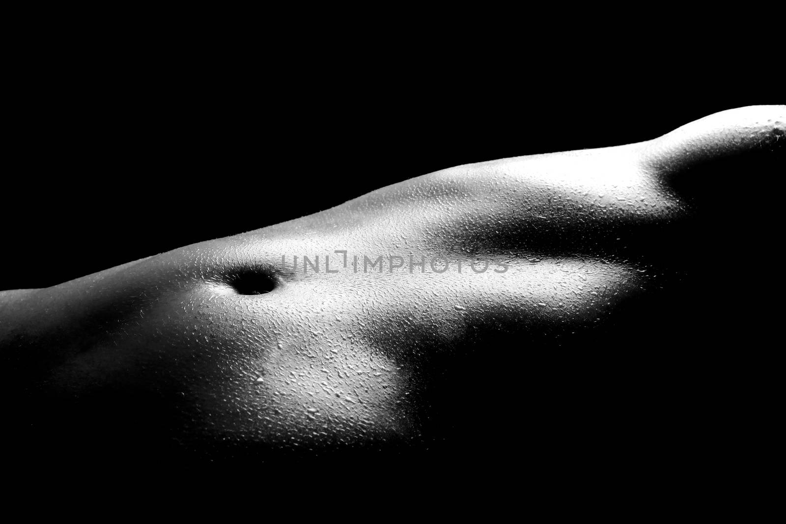 Bodyscape Image of a Nude Woman