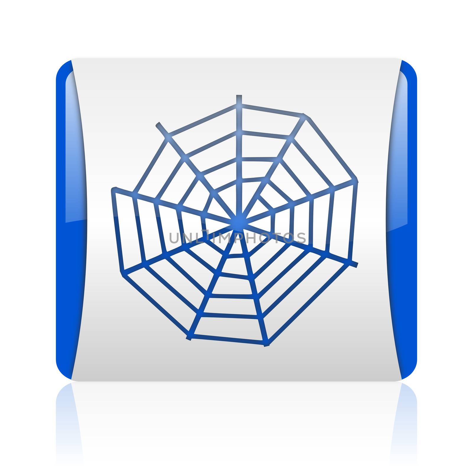 spider web blue square web glossy icon by alexwhite
