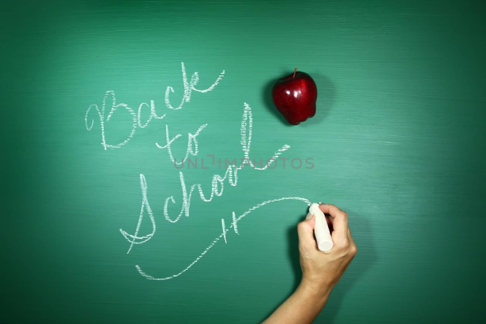 Back to School Written on a Chalkboard by tobkatrina