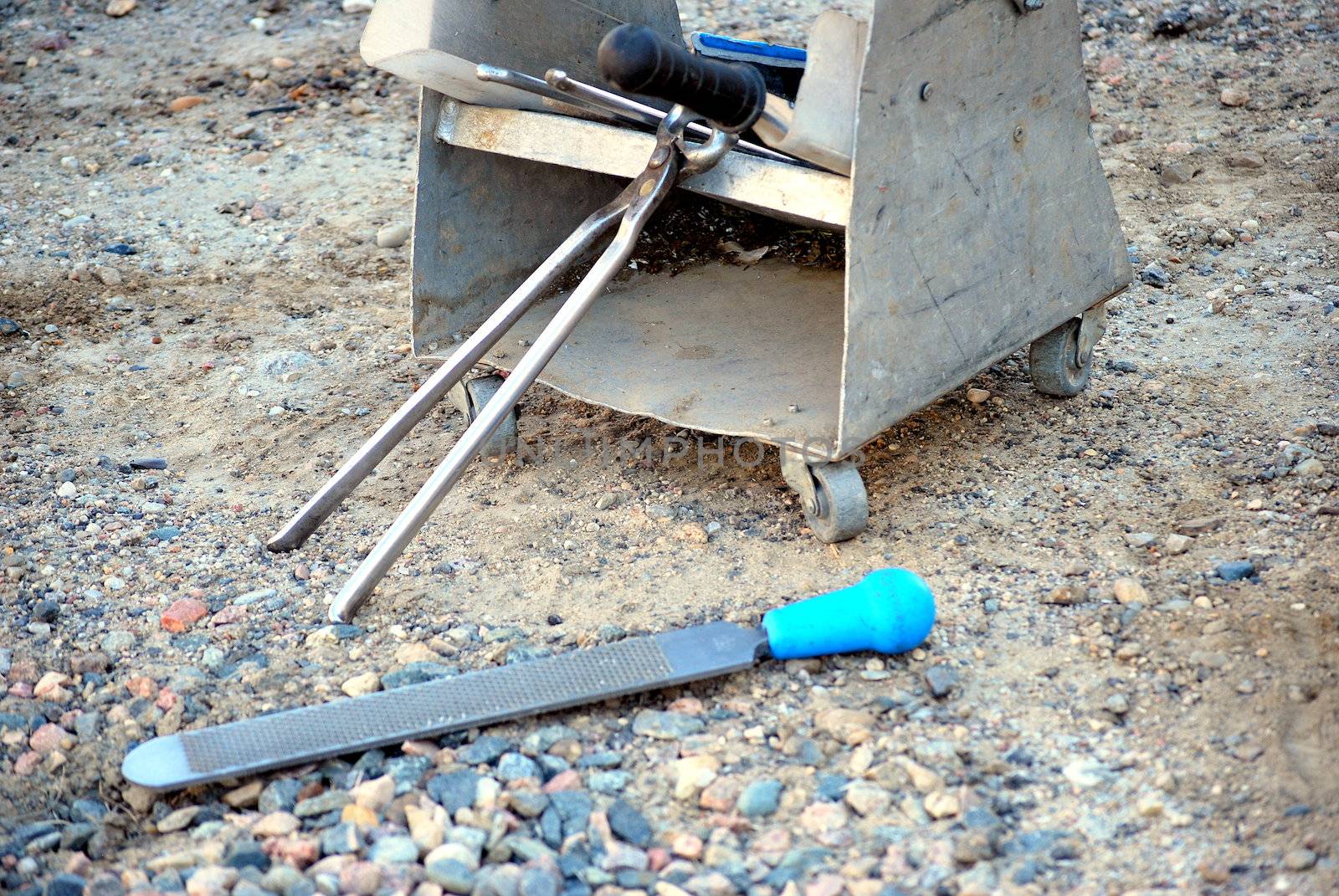 Farrier toolbox displayed on a ranch outdoors.
