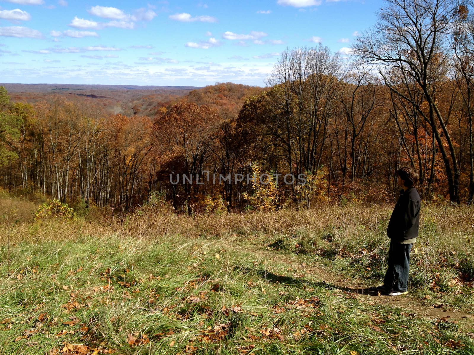 Teen looks at Brown County Landscape